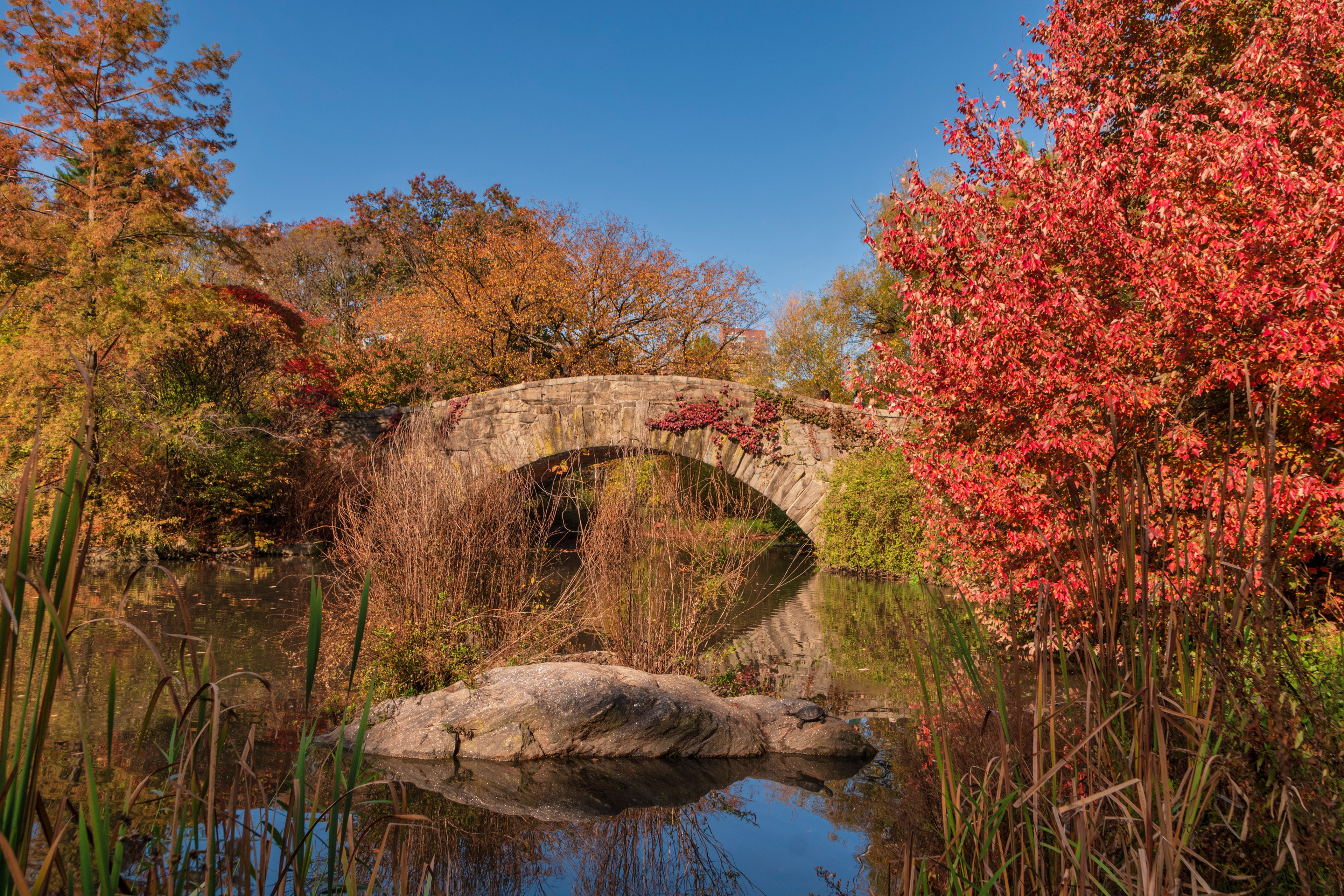 Colors of Central Park, NYC
