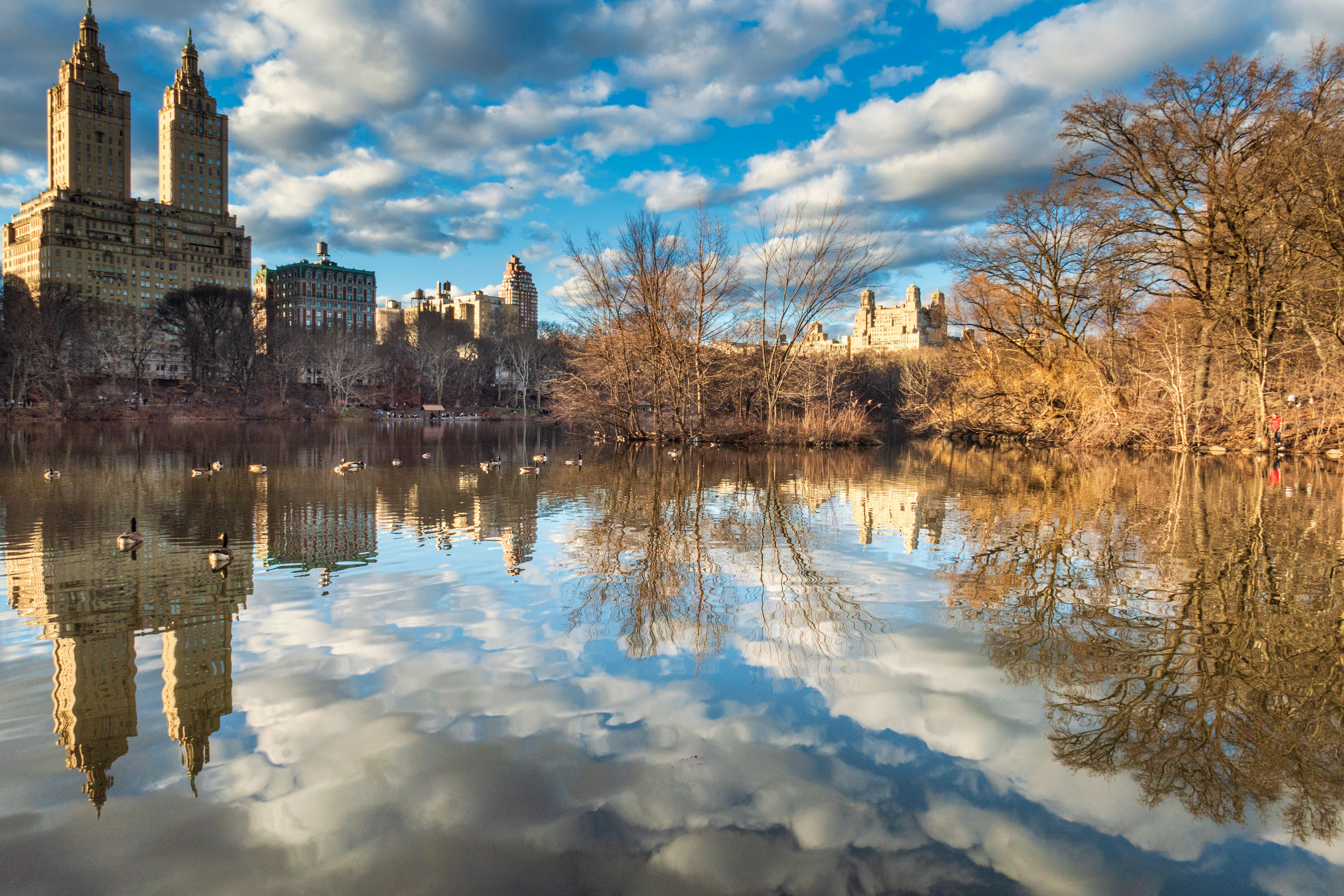 Reflection of Choice, Central Park NY