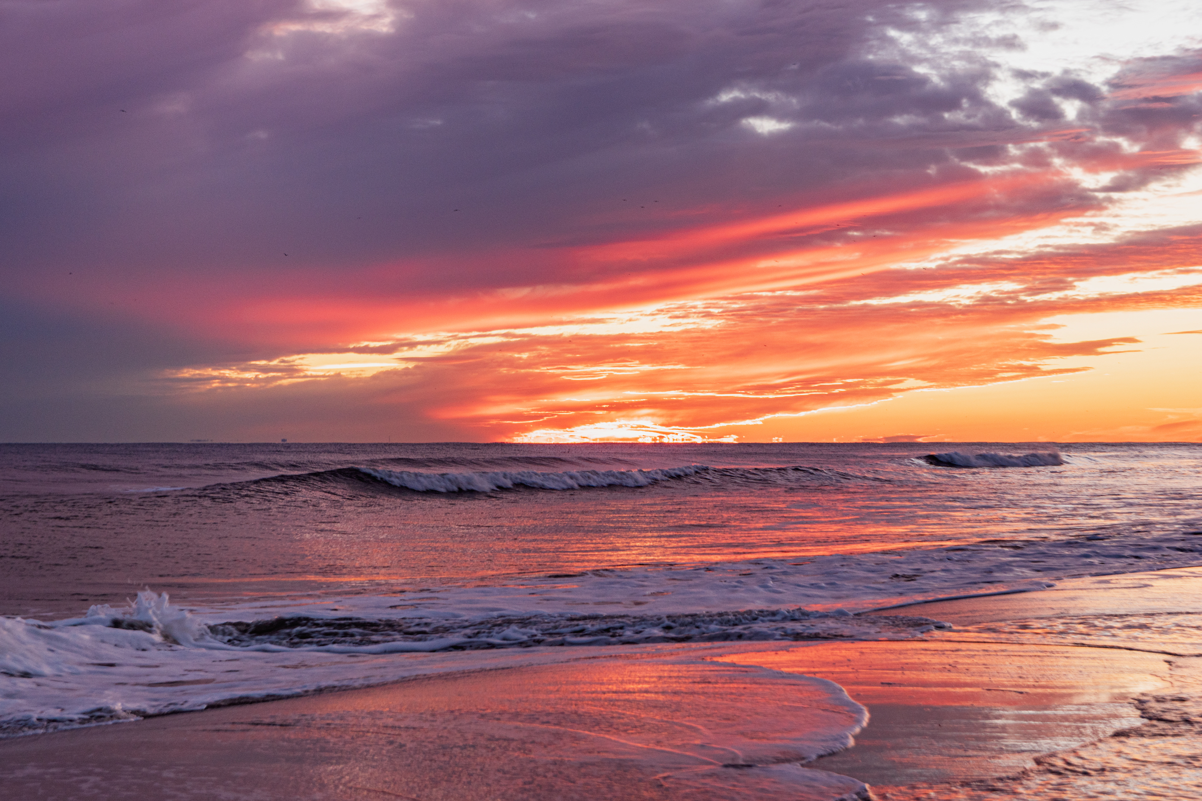 Winter Symphony, Long Island