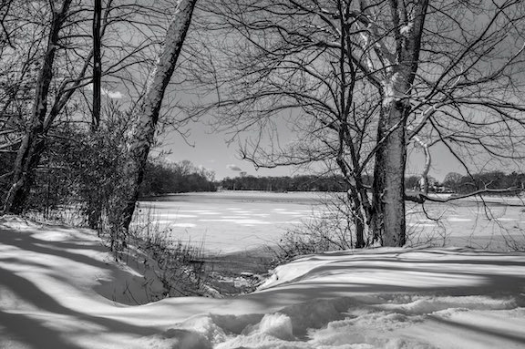 Seasonal Serenity, Hempstead Lake State Park