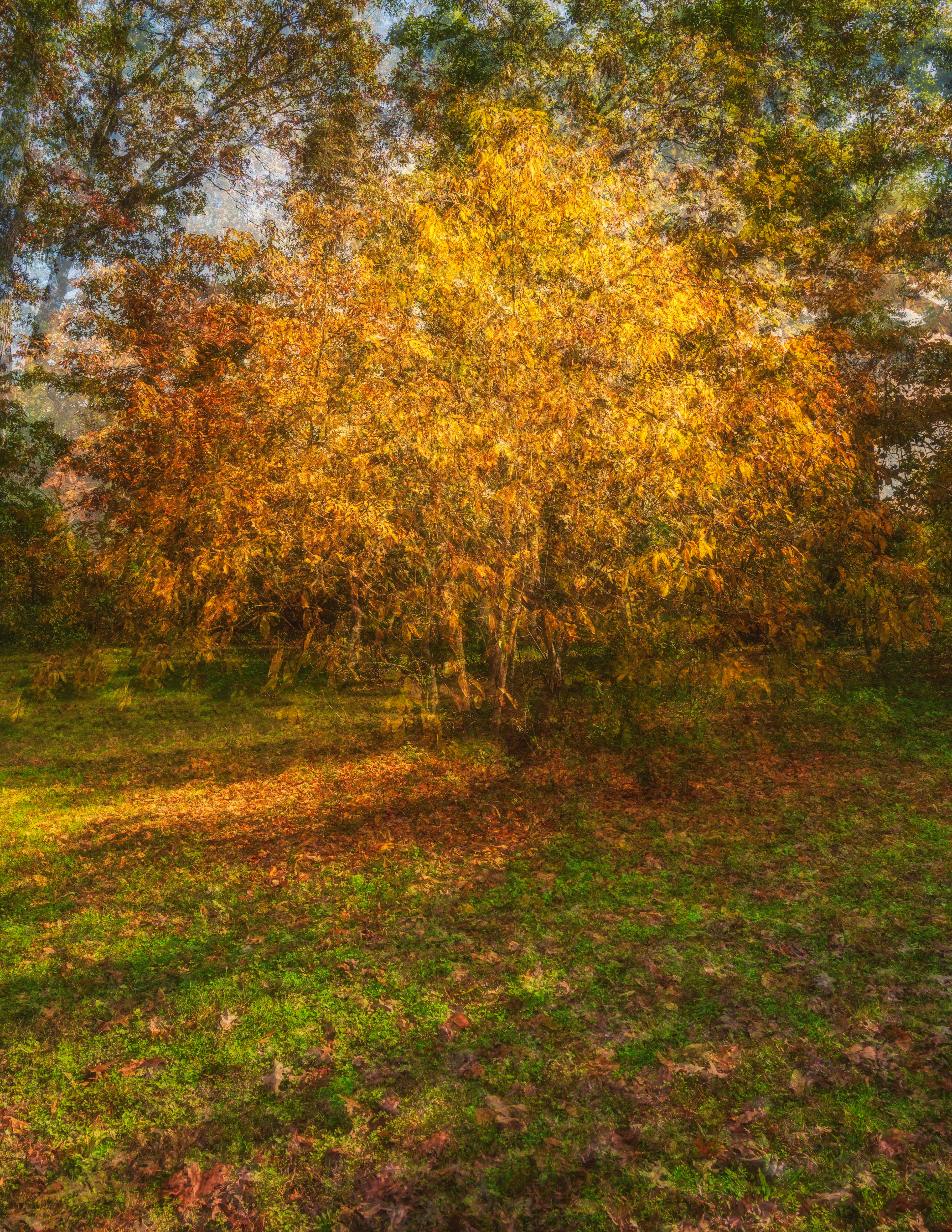 Autumn PEP, Hempstead Lake State Park