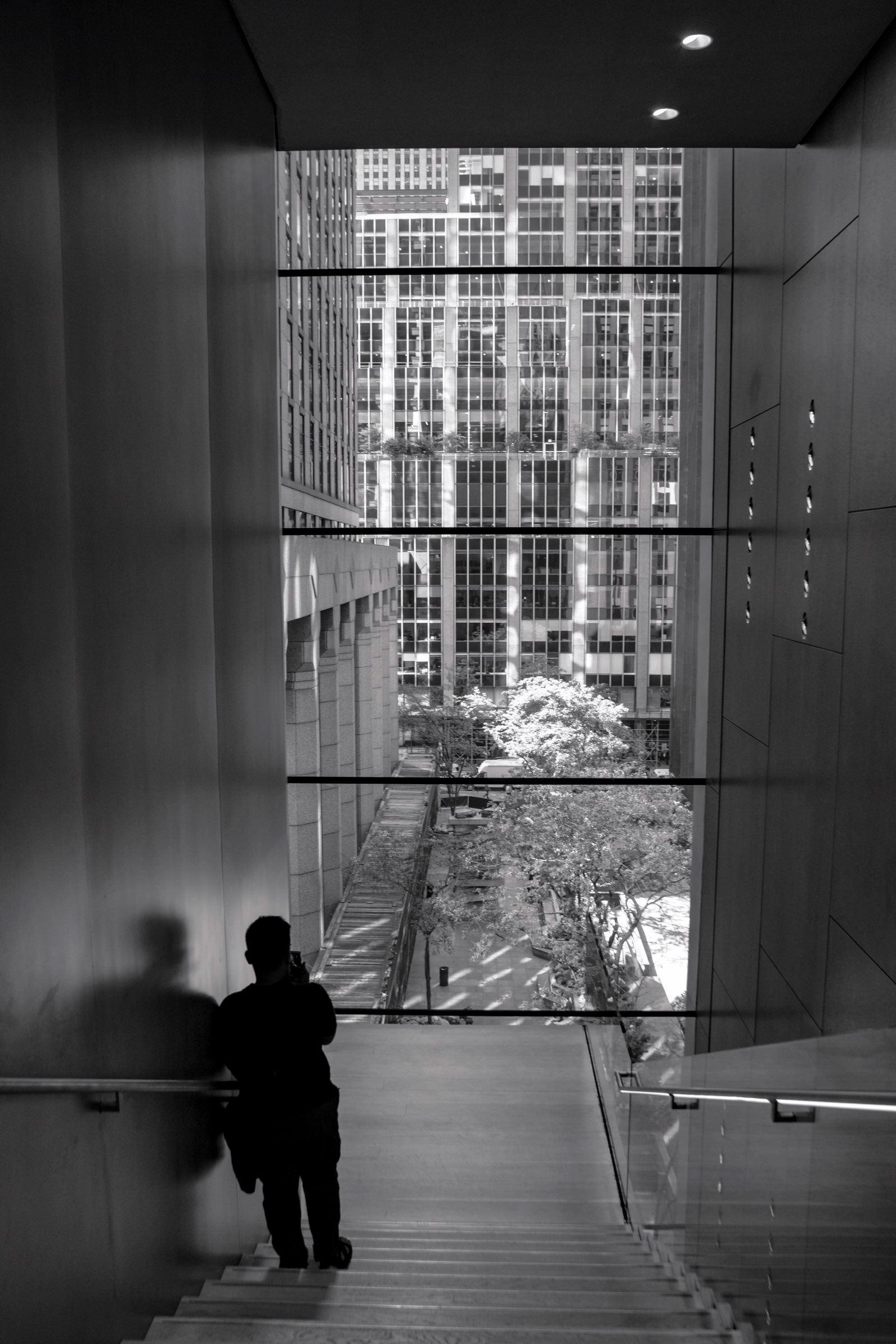 Snap the Moment, MOMA