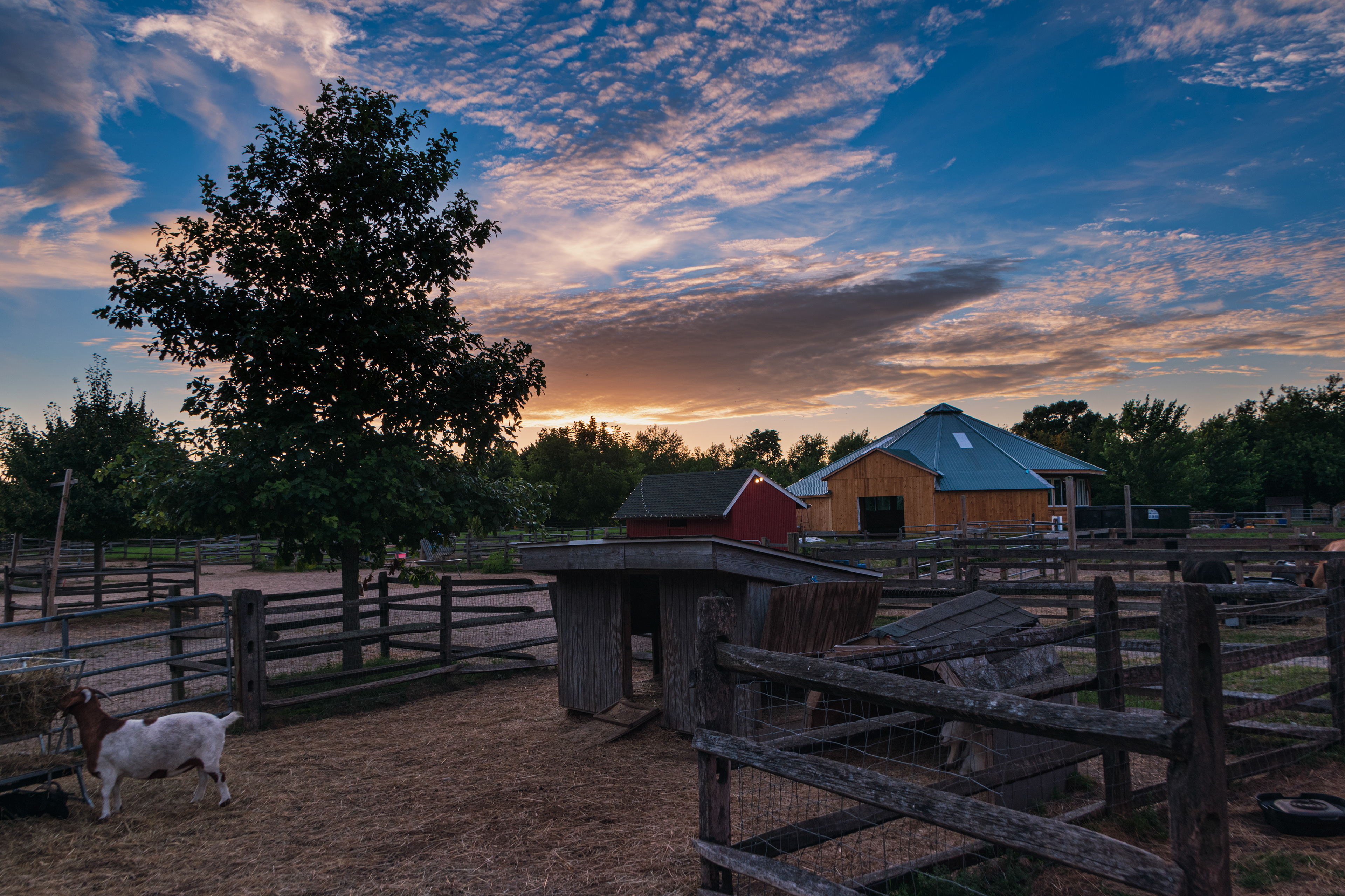 Ranch Life, Riverhead NY