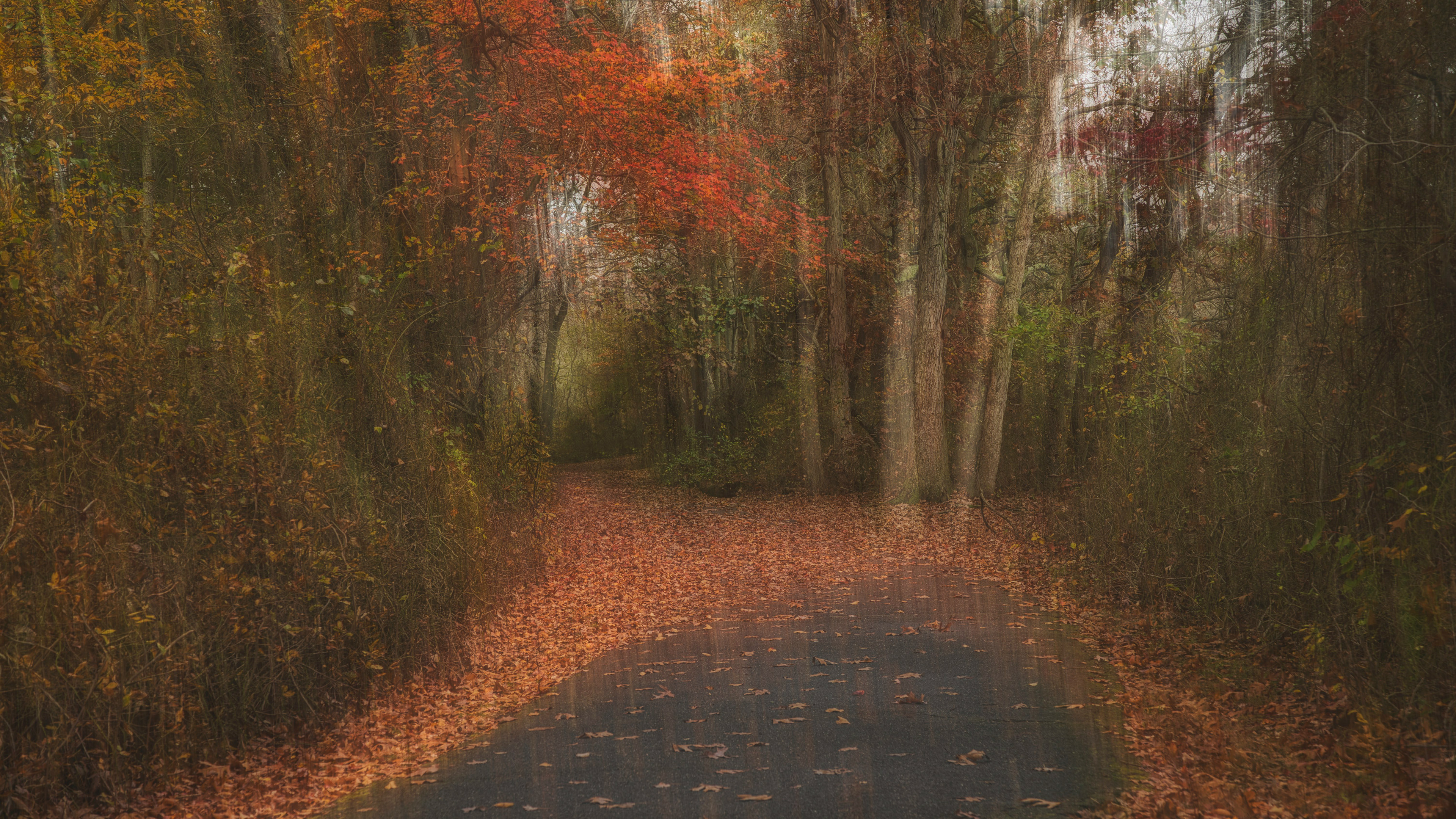Take a Walk, Massapequa Preserve