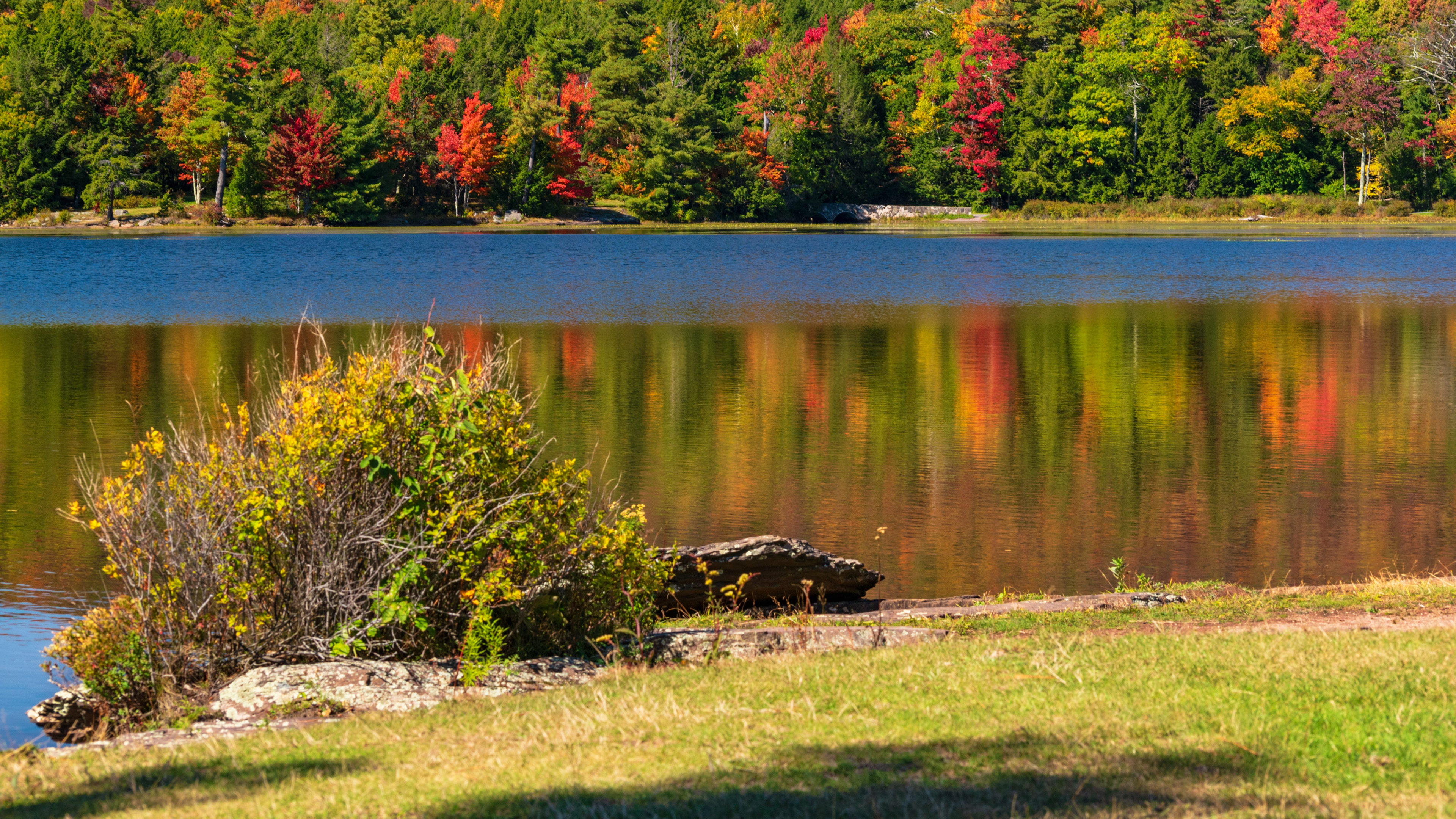 Nature Renewed, Catskill NY