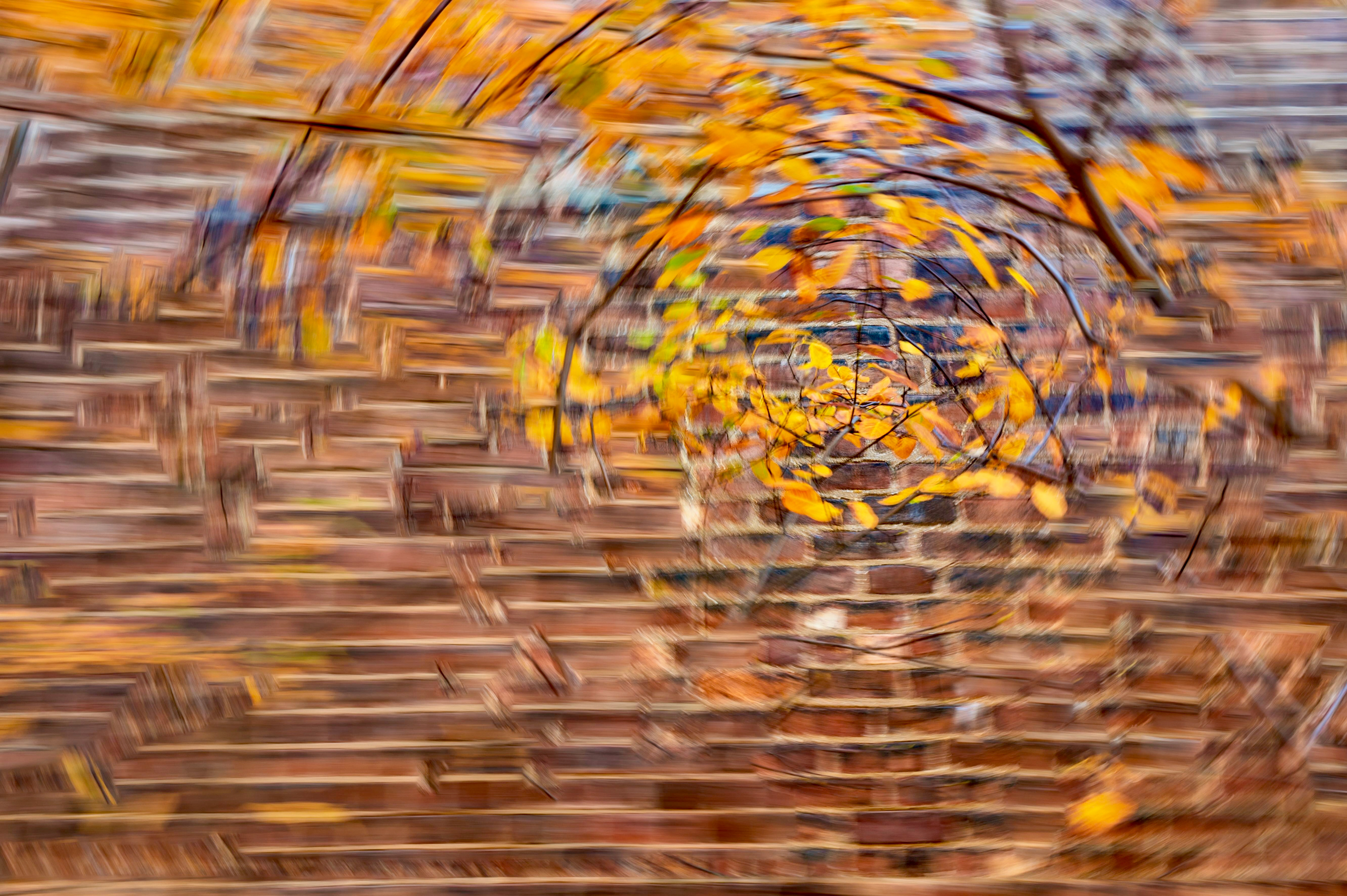 Bricks & Leaves, High Line NYC