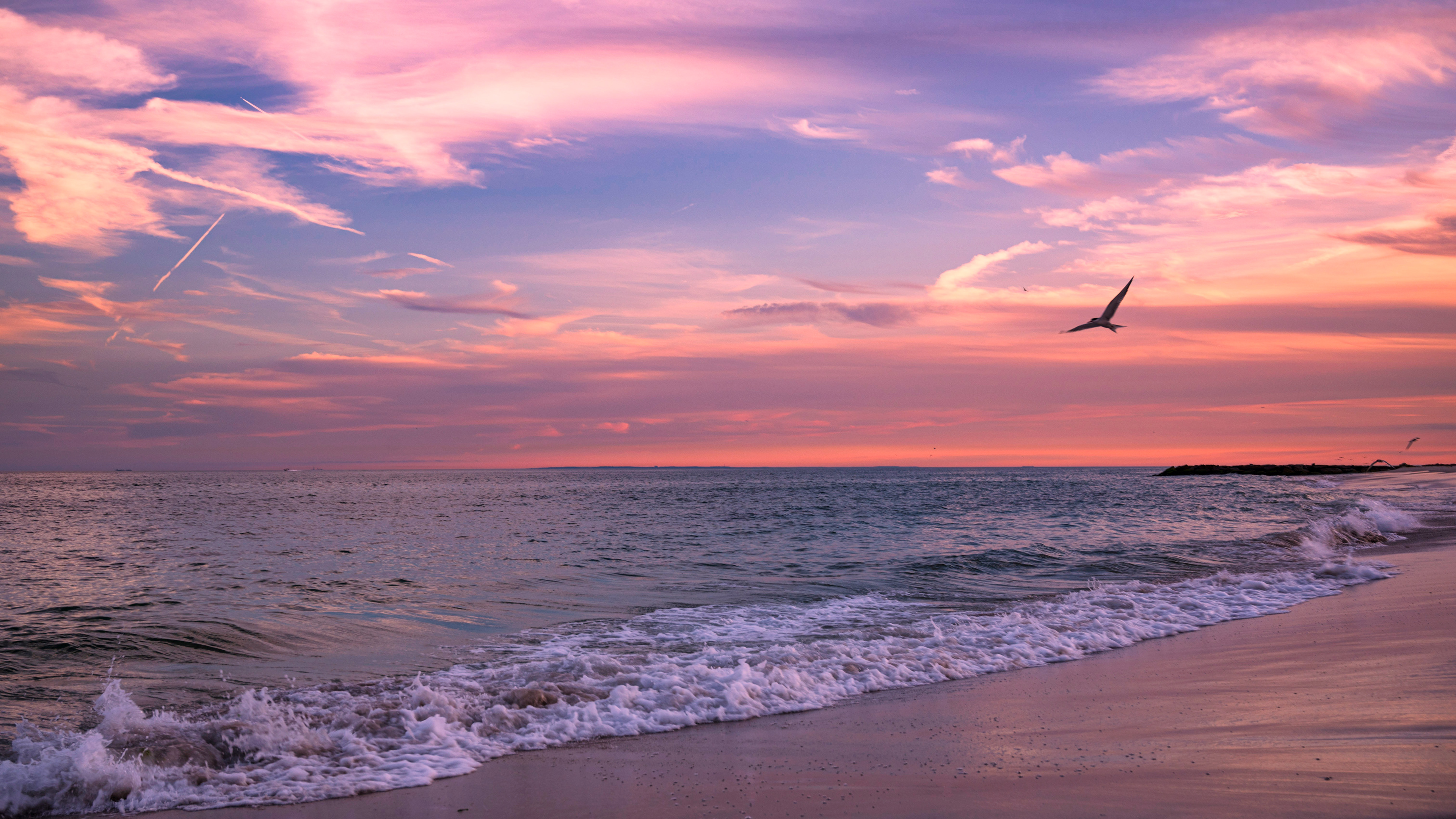 Human Point of View, Long Beach NY