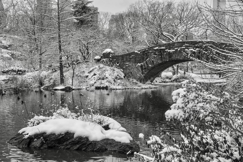 Silence Looks Like This, Central Park