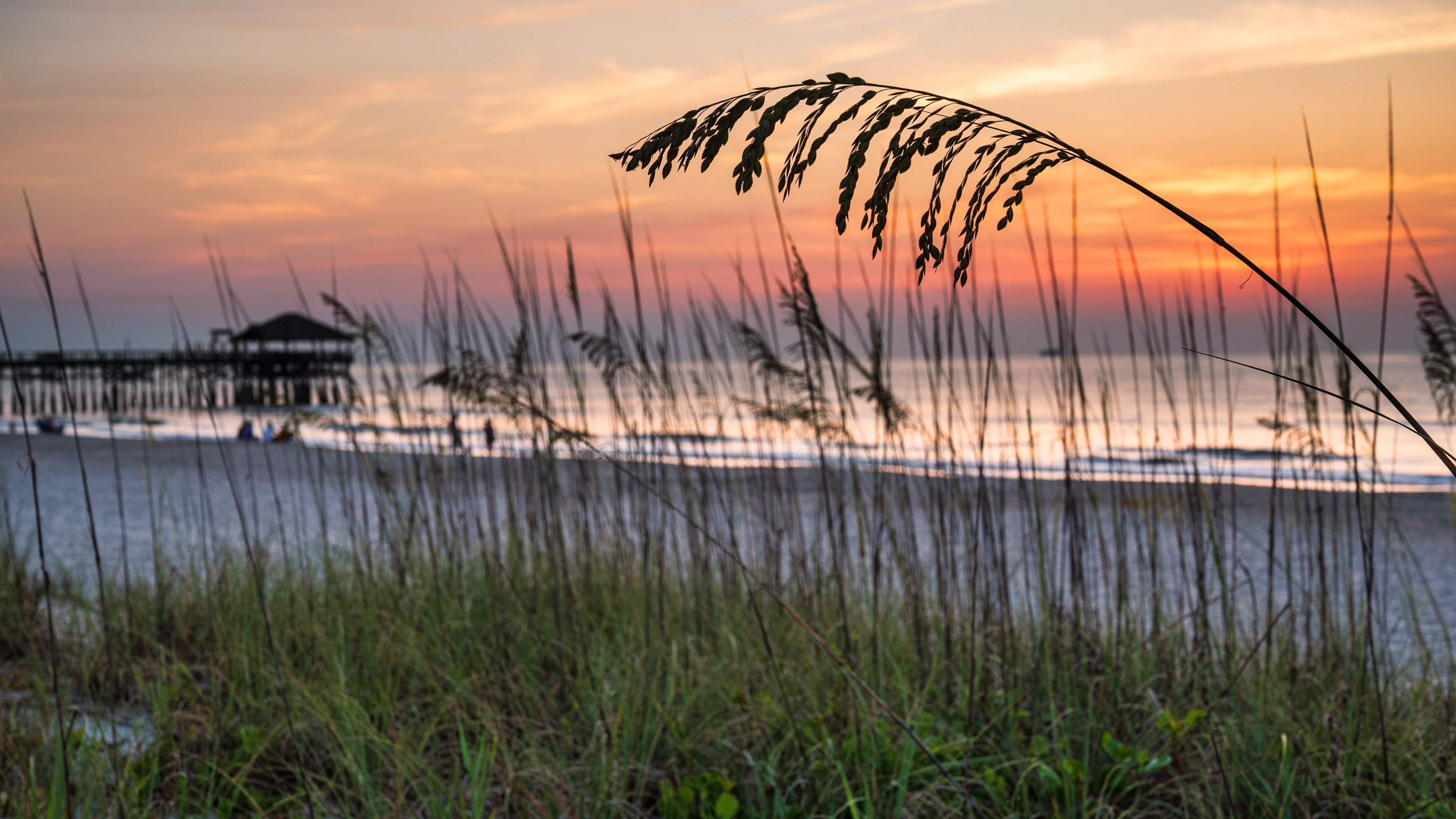 Coffee and Sunshine, Cape Canaveral