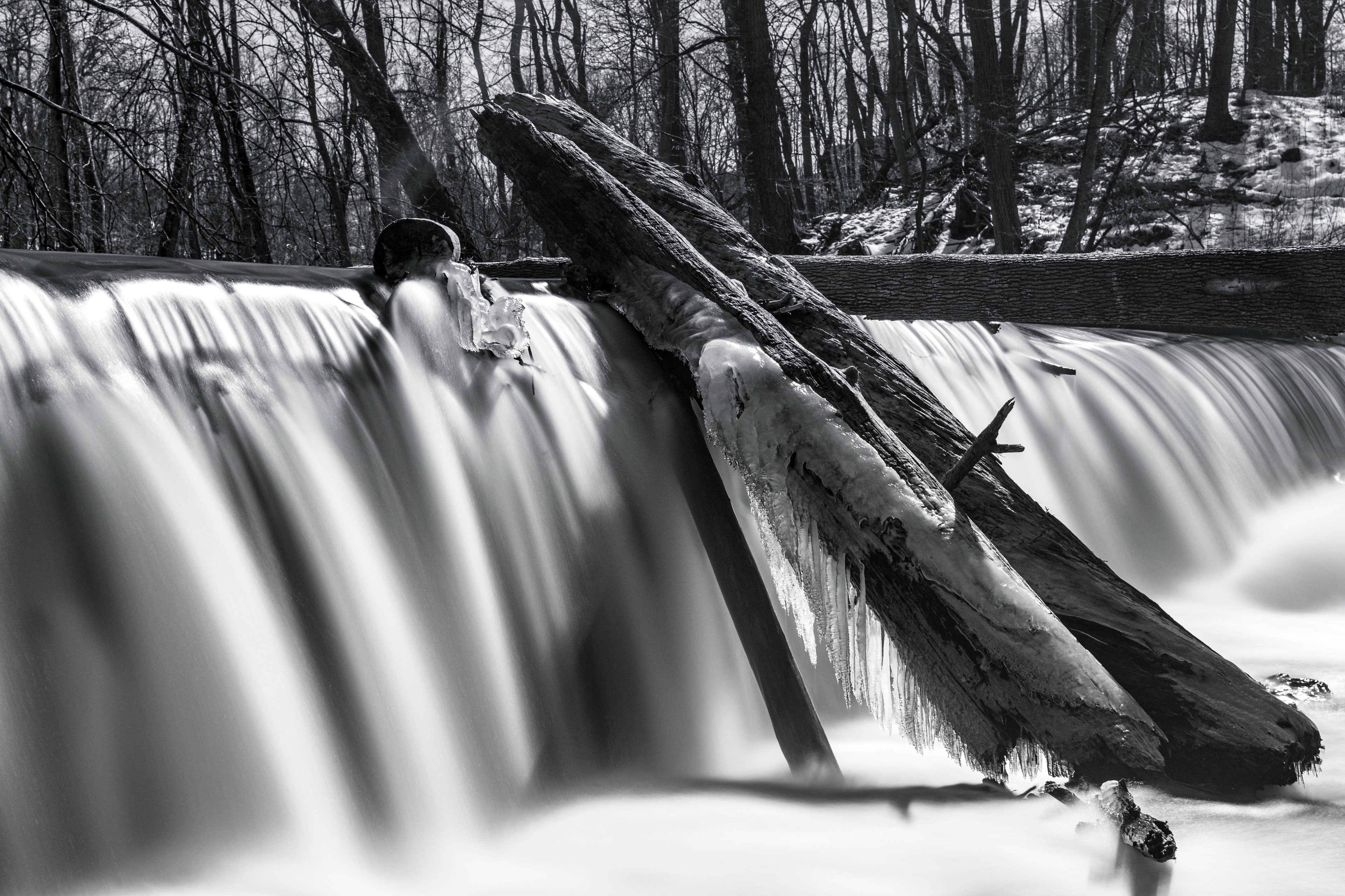 Frozen, Madam Brett Park NY