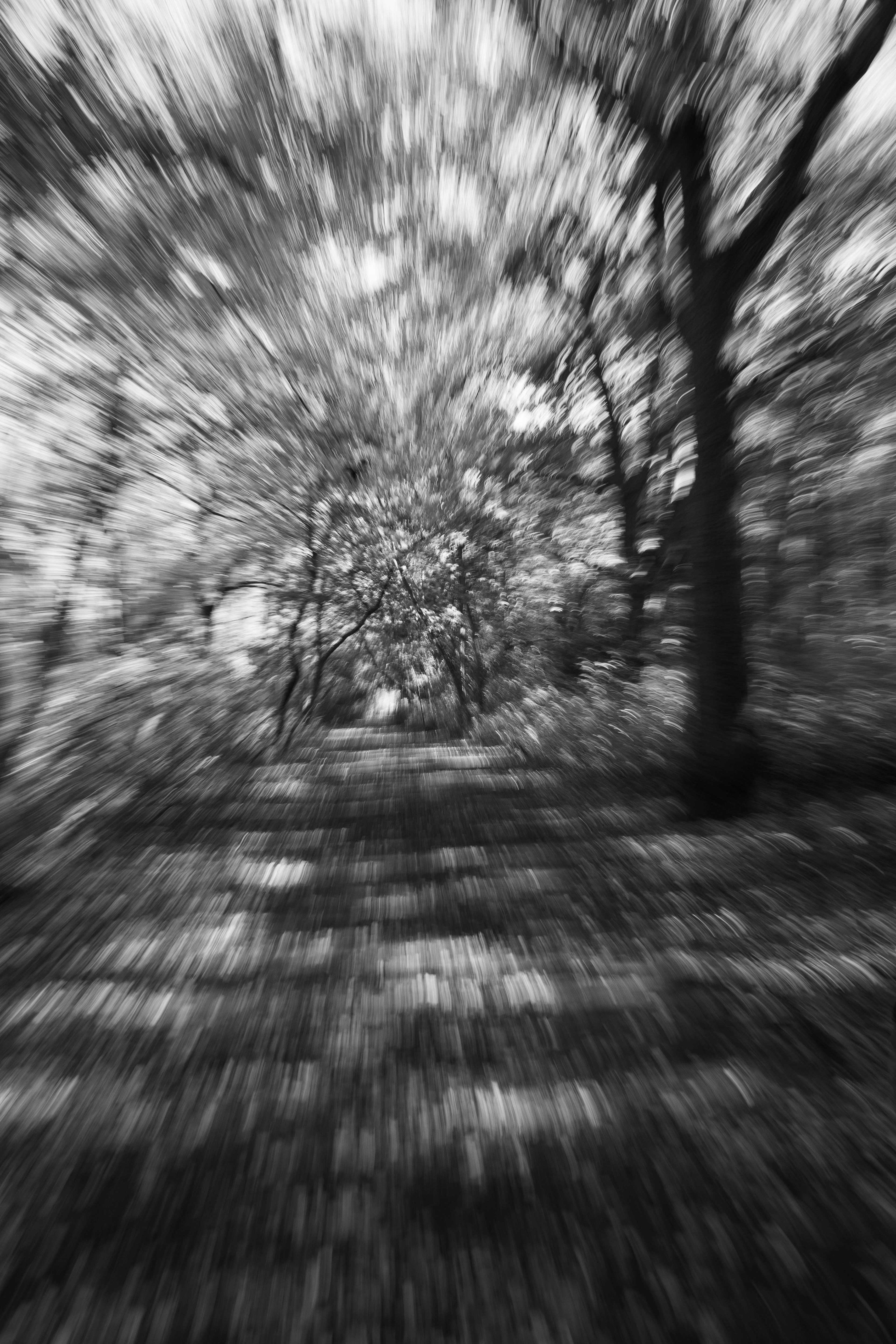 Deception, Massapequa Preserve