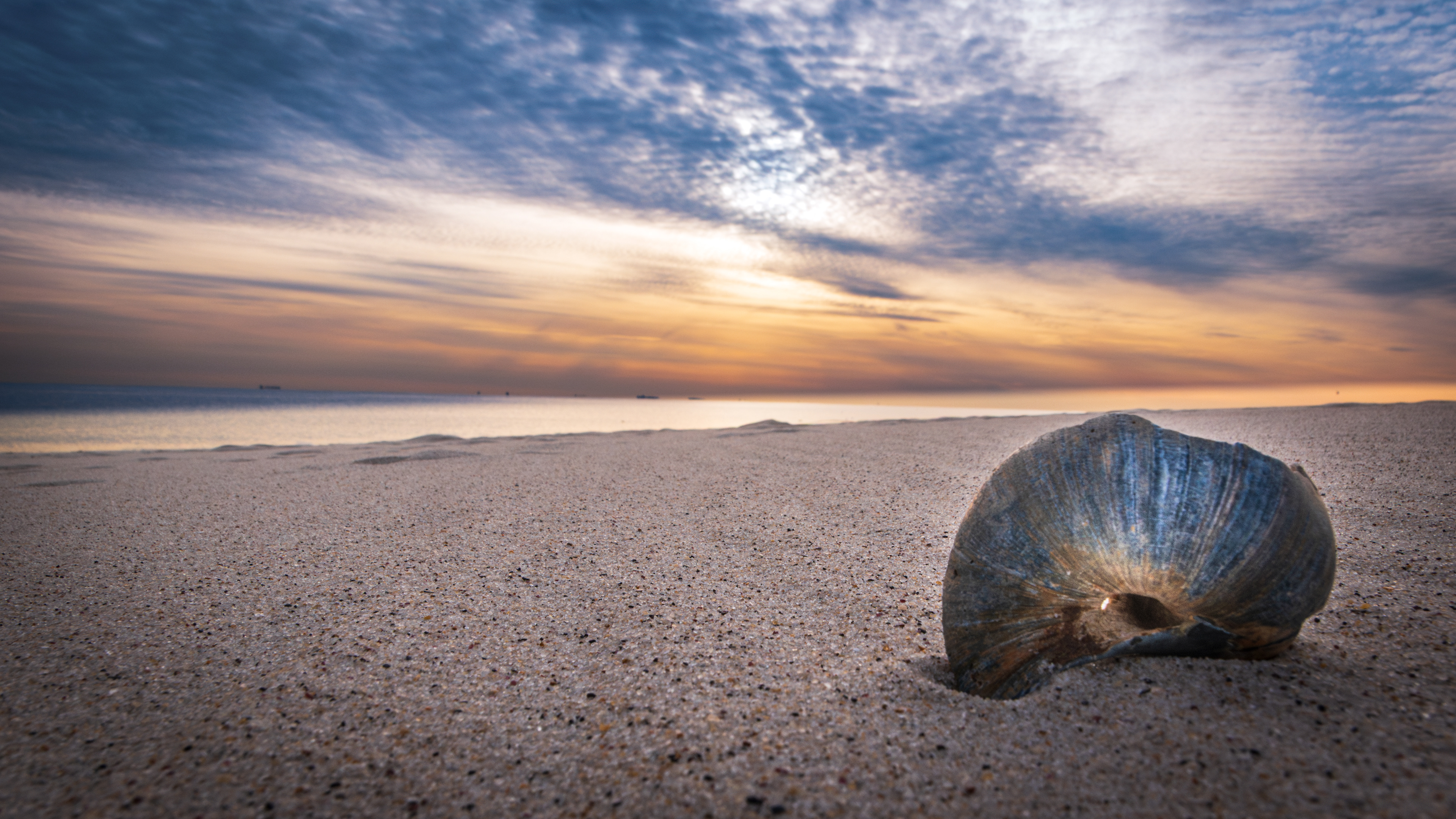 Silent Shoreline, Jones Beach NY