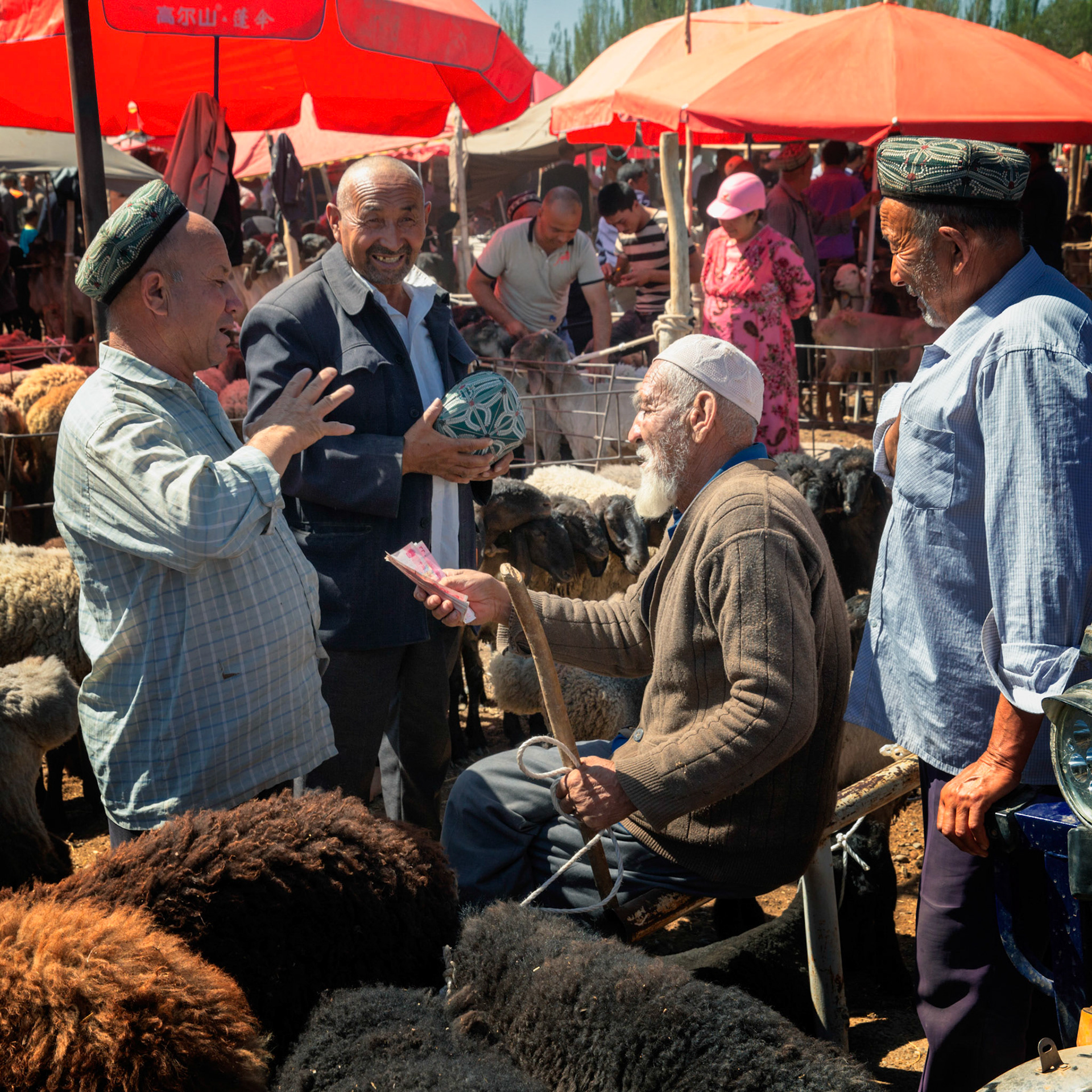 Kashgar,  China - September 9th, 2018 : Uyghur farmers negotiating a price for sheep at the Kashgar sunday bazaar. Sheep and people in the background.