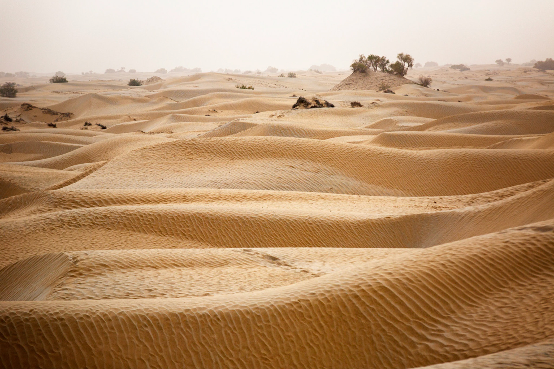 Sand dunes in the Taklaman desert near Hotan, Xinjiang, China