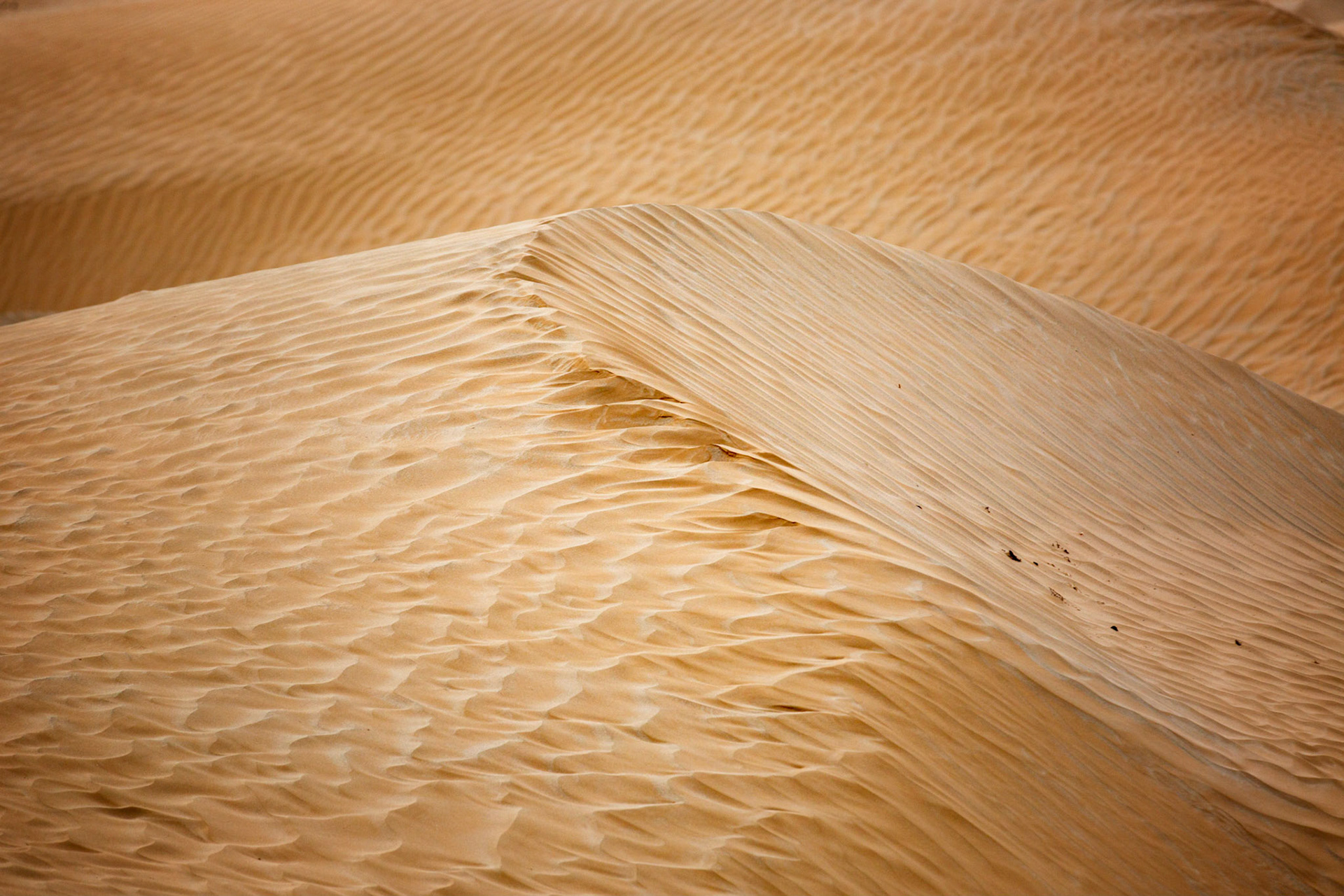 Sand dunes in the Taklaman desert near Hotan, Xinjiang, China