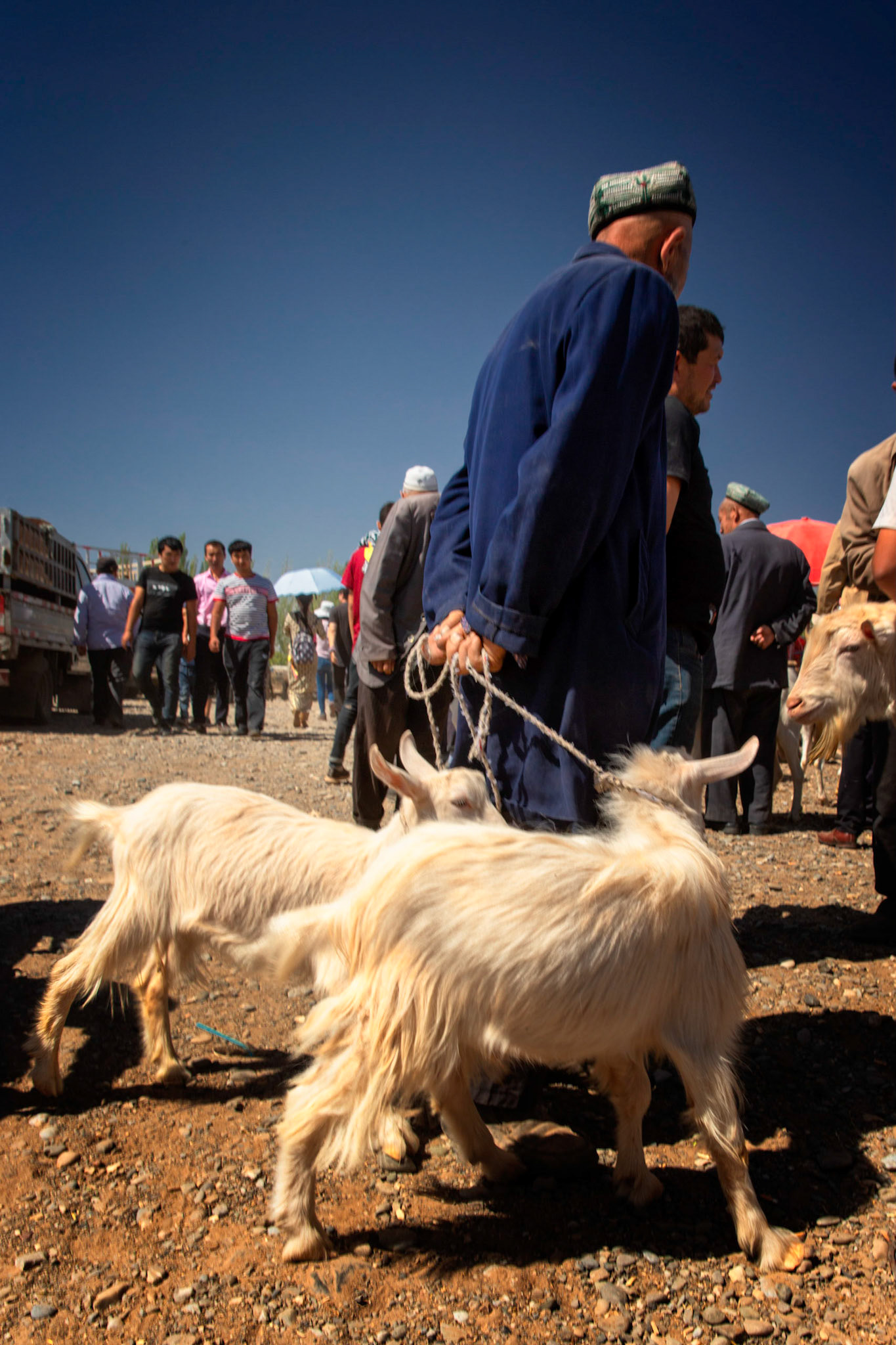 Kashgar,  China - September 9th, 2018 : Uyghur farmer with two goats at the Kashgar market.