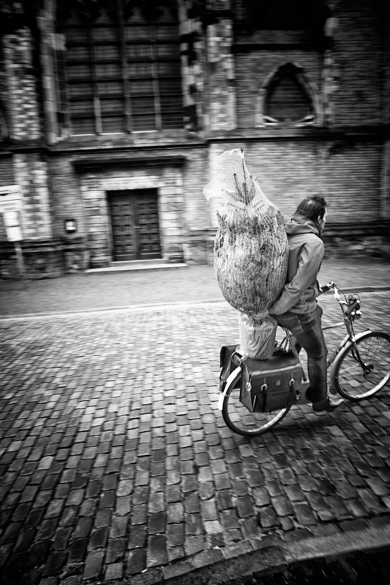 Bicycle country: Sinterklaas is gone and we rush to get our christmas trees ready!
