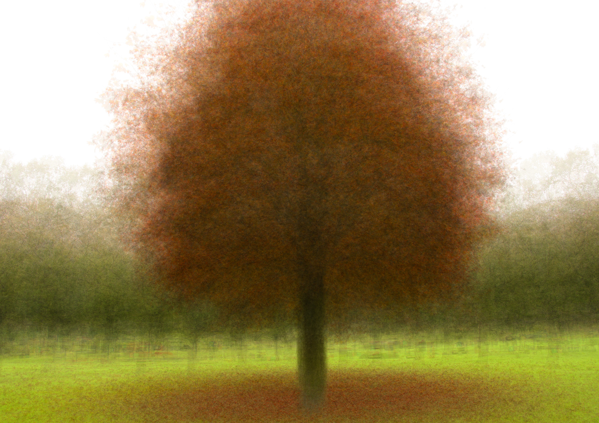 Pep Ventosa (Trees in the Round) Style