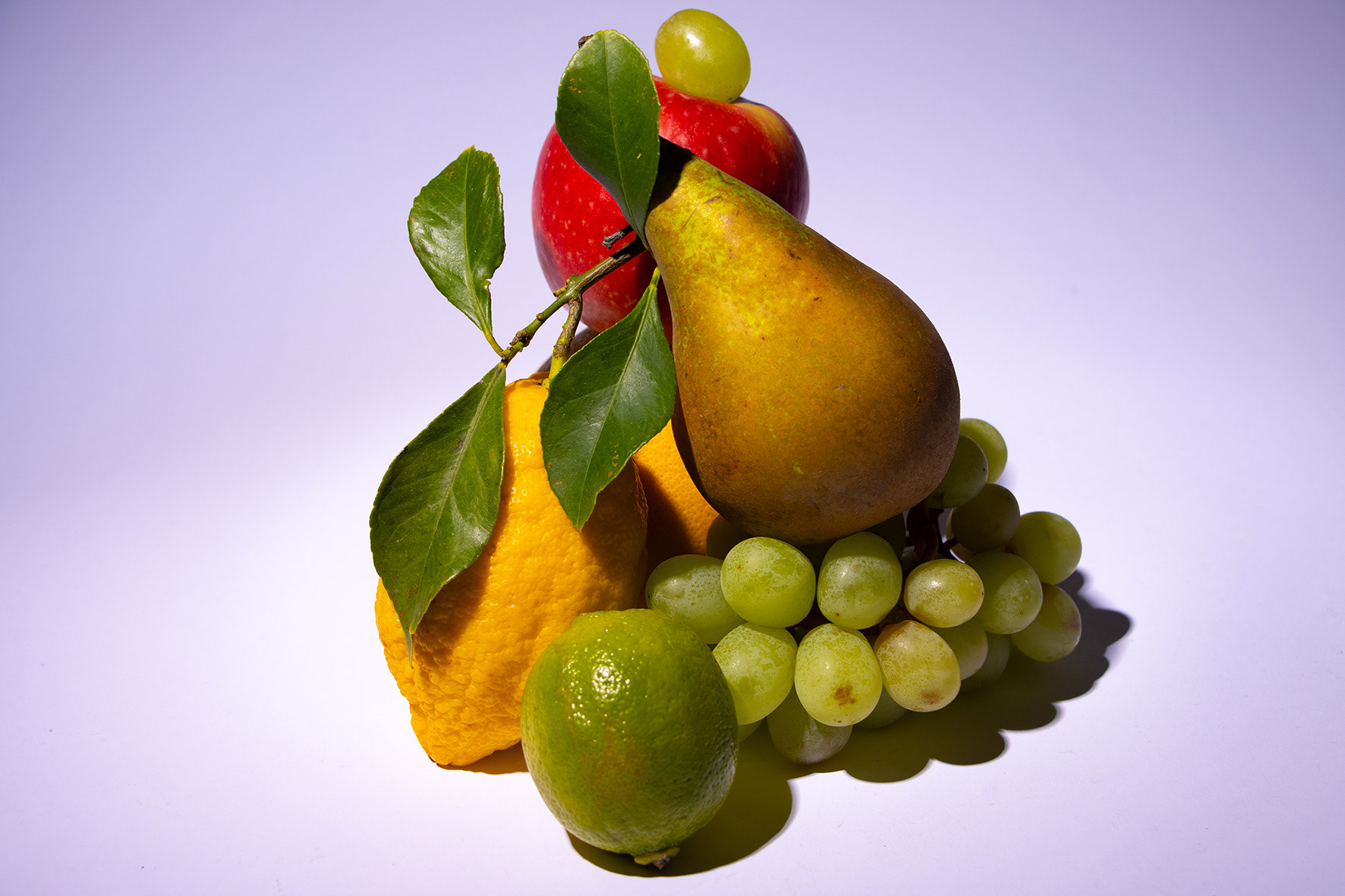 Irving Penn Style
