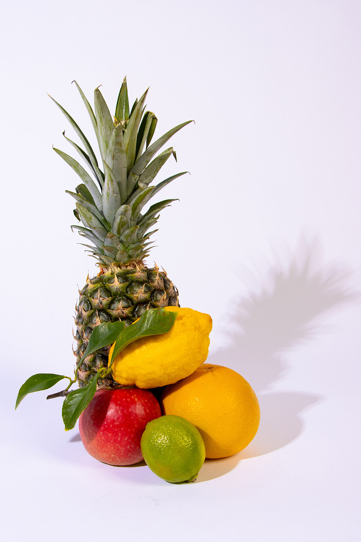 Irving Penn Style