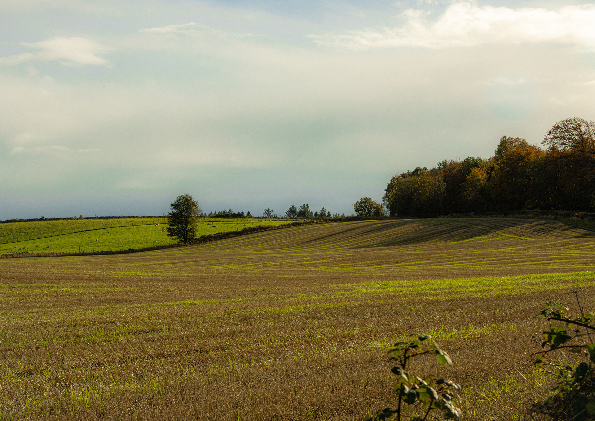  Franco Fontana (Basilicata) Style