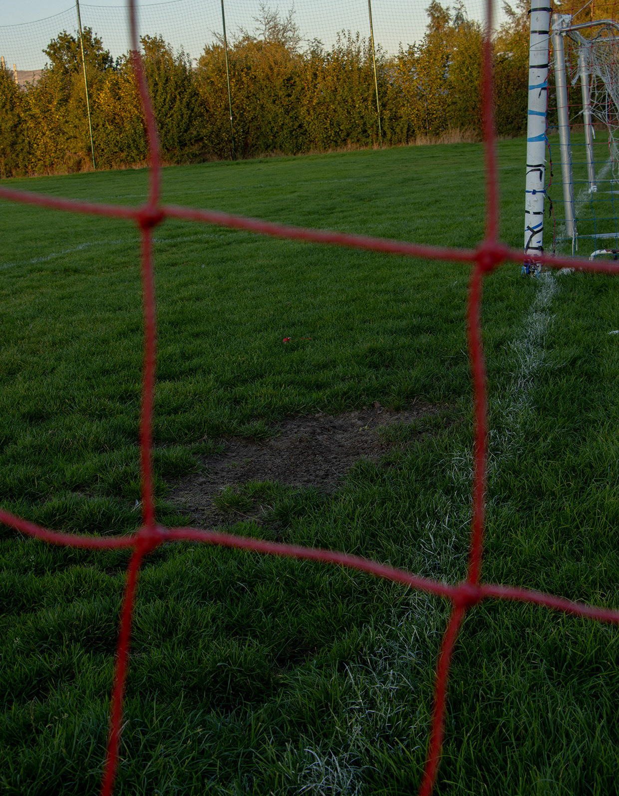 The Decline in Sport