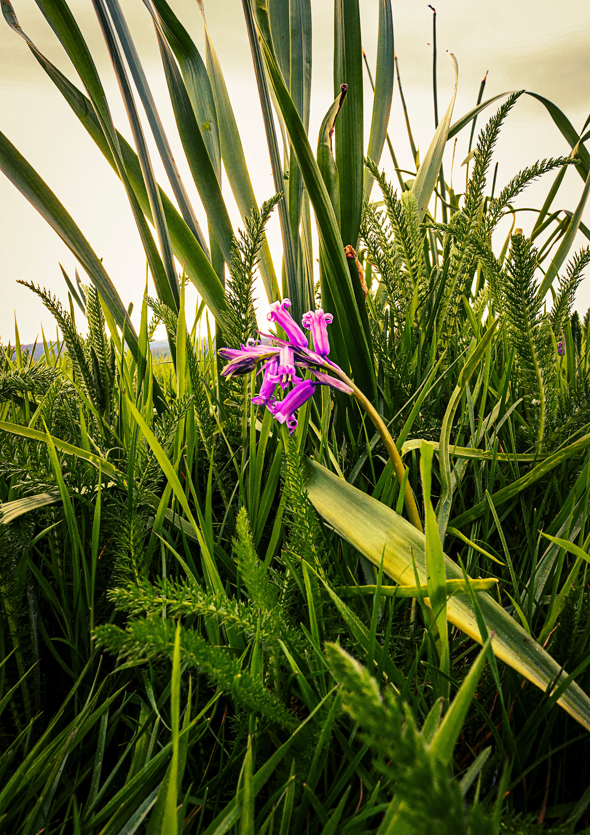 Cross Processing