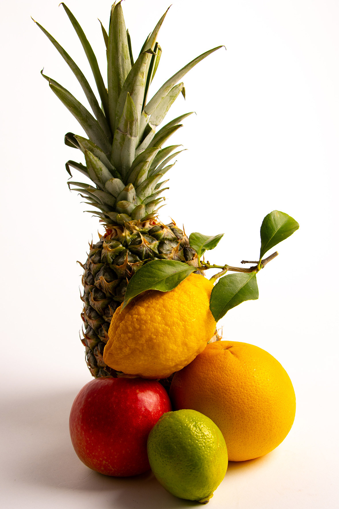 Irving Penn Style