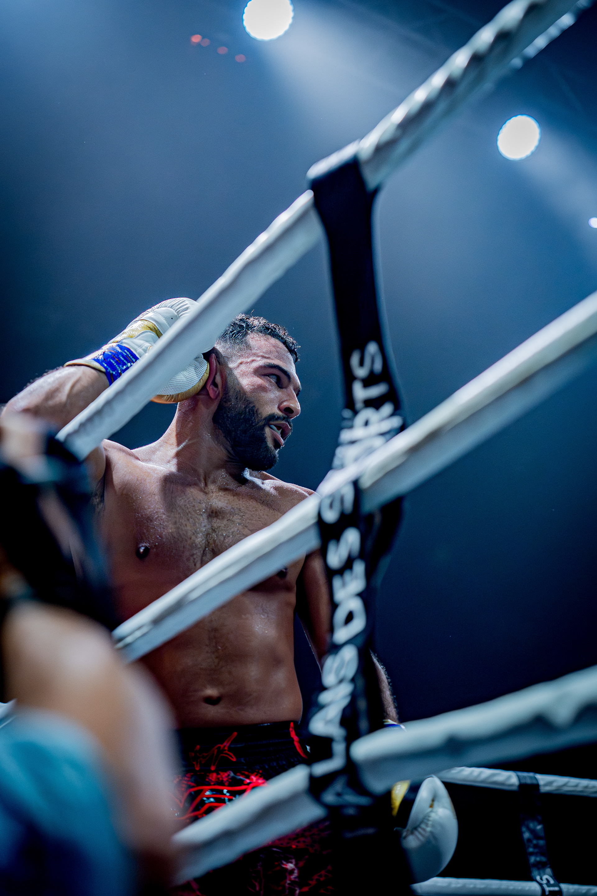 Fight Night - Boxe Marseille