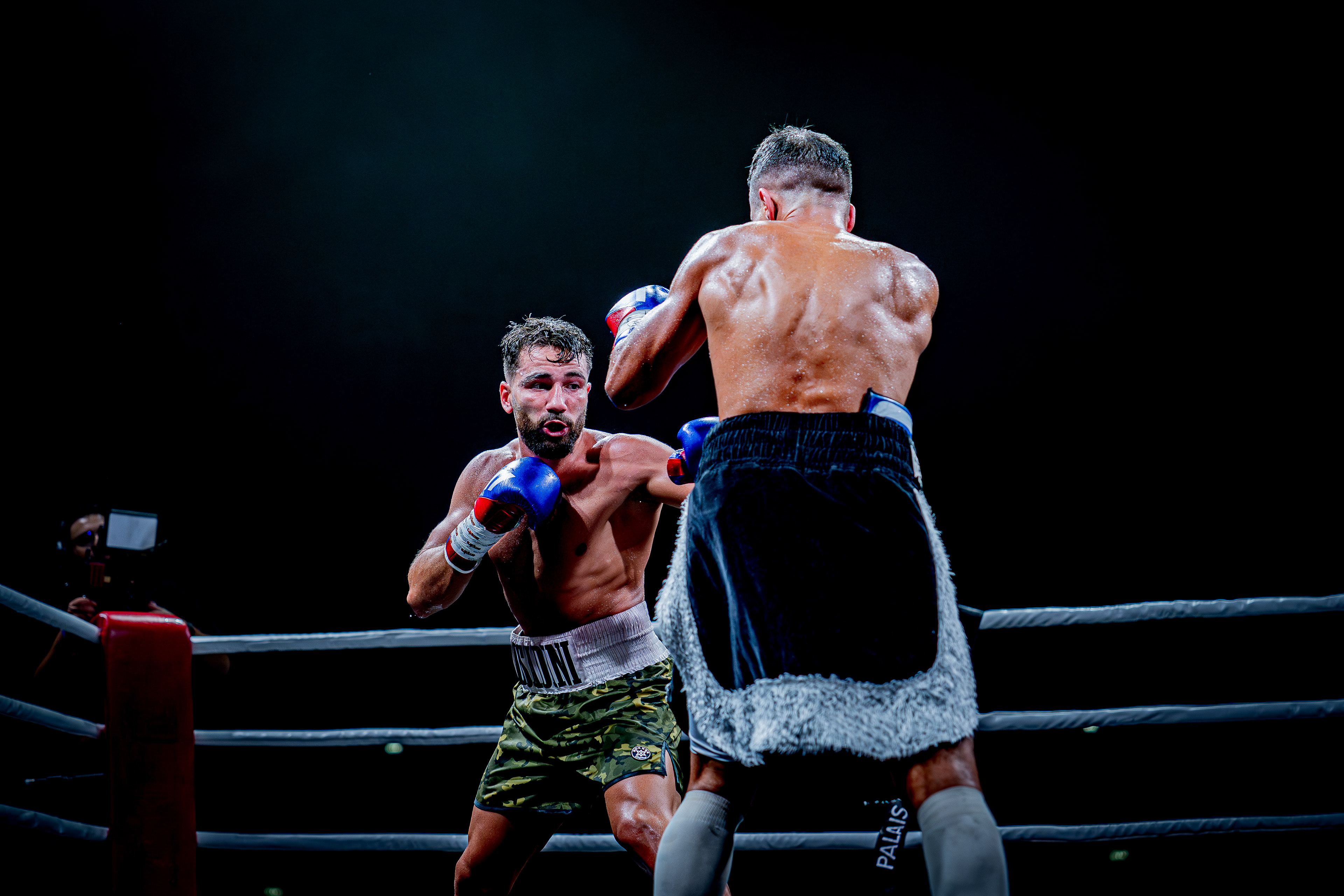 Fight Night - Boxe Marseille