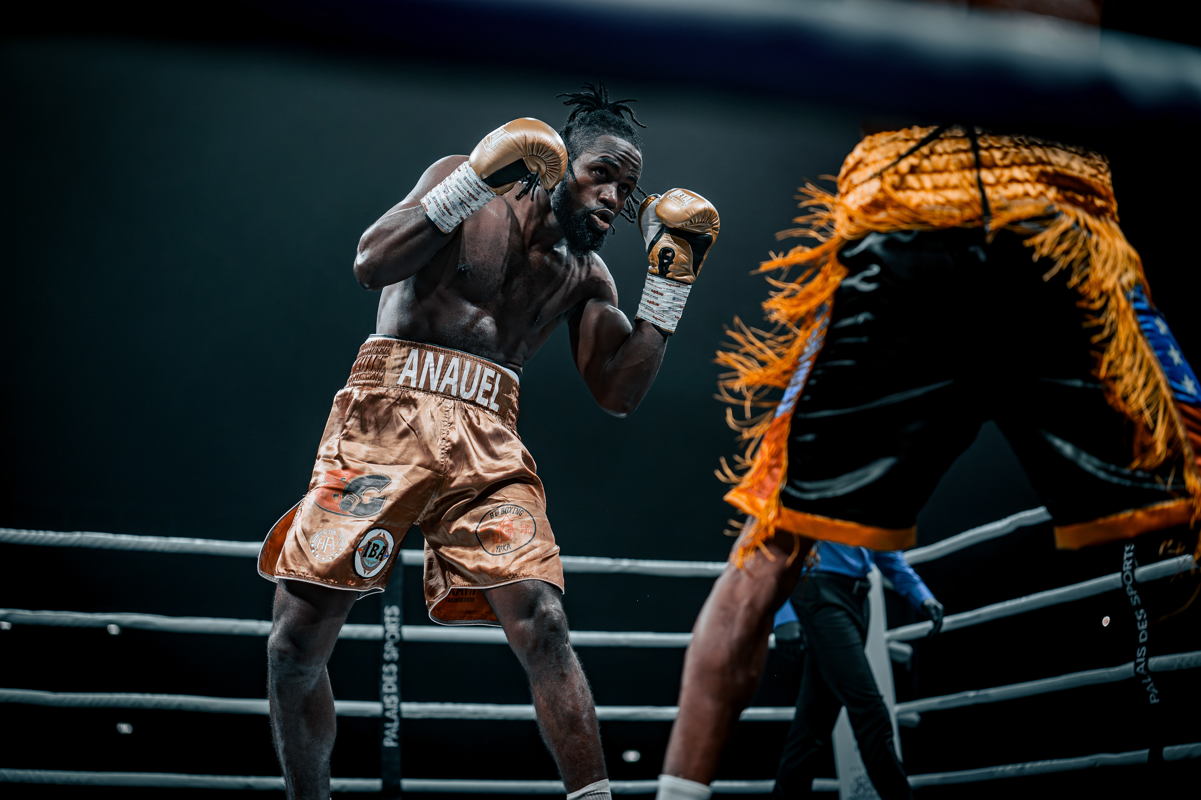 Fight Night - Boxe Marseille