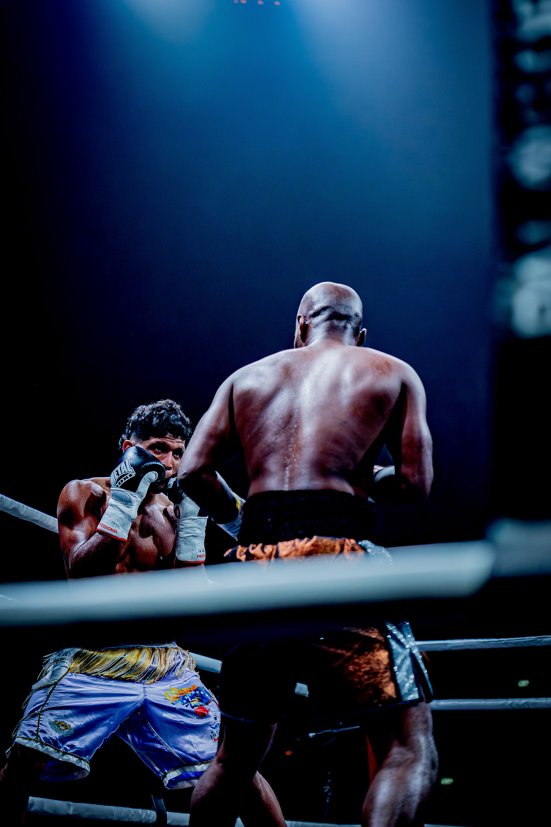 Fight Night - Boxe Marseille