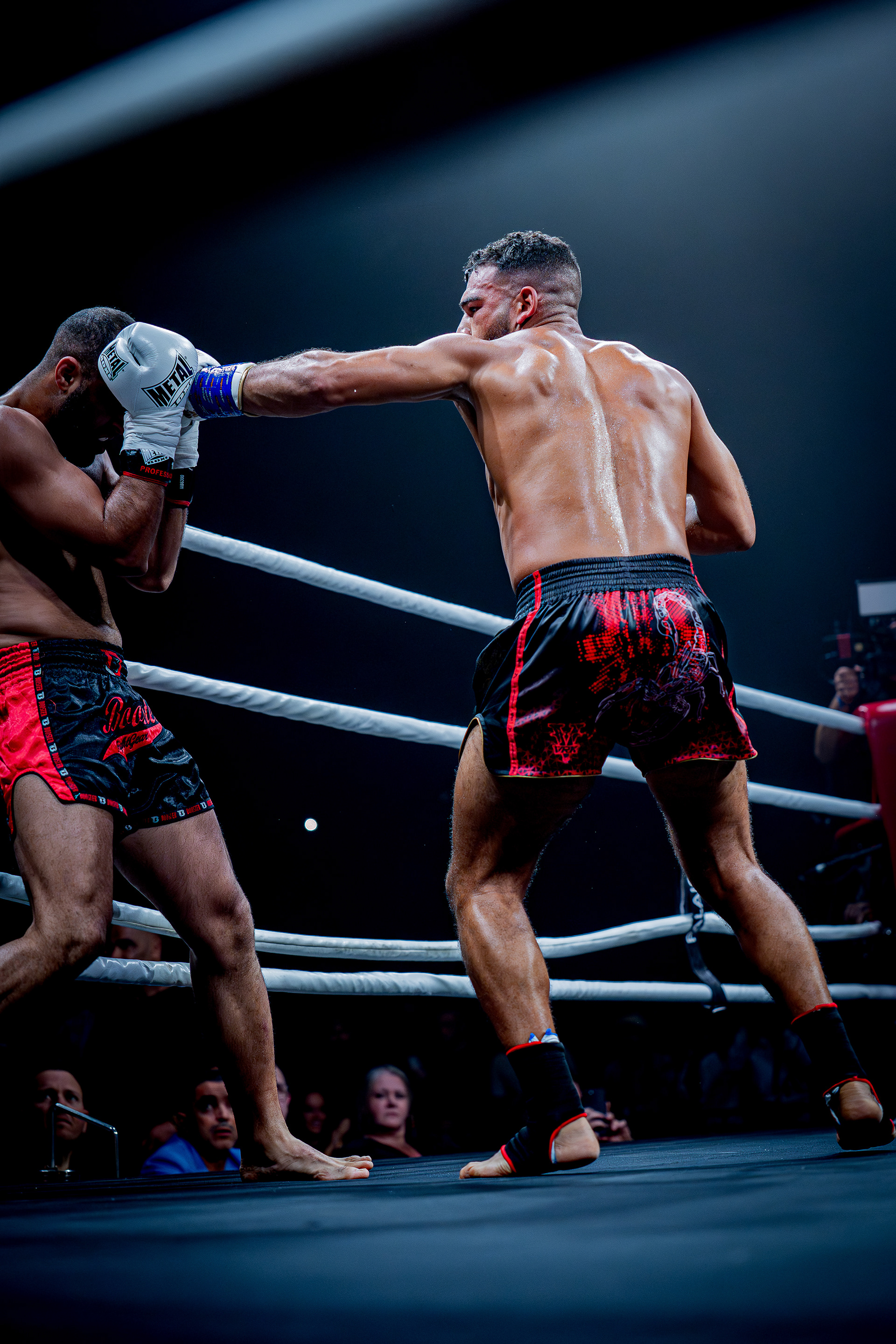 Fight Night - Boxe Marseille
