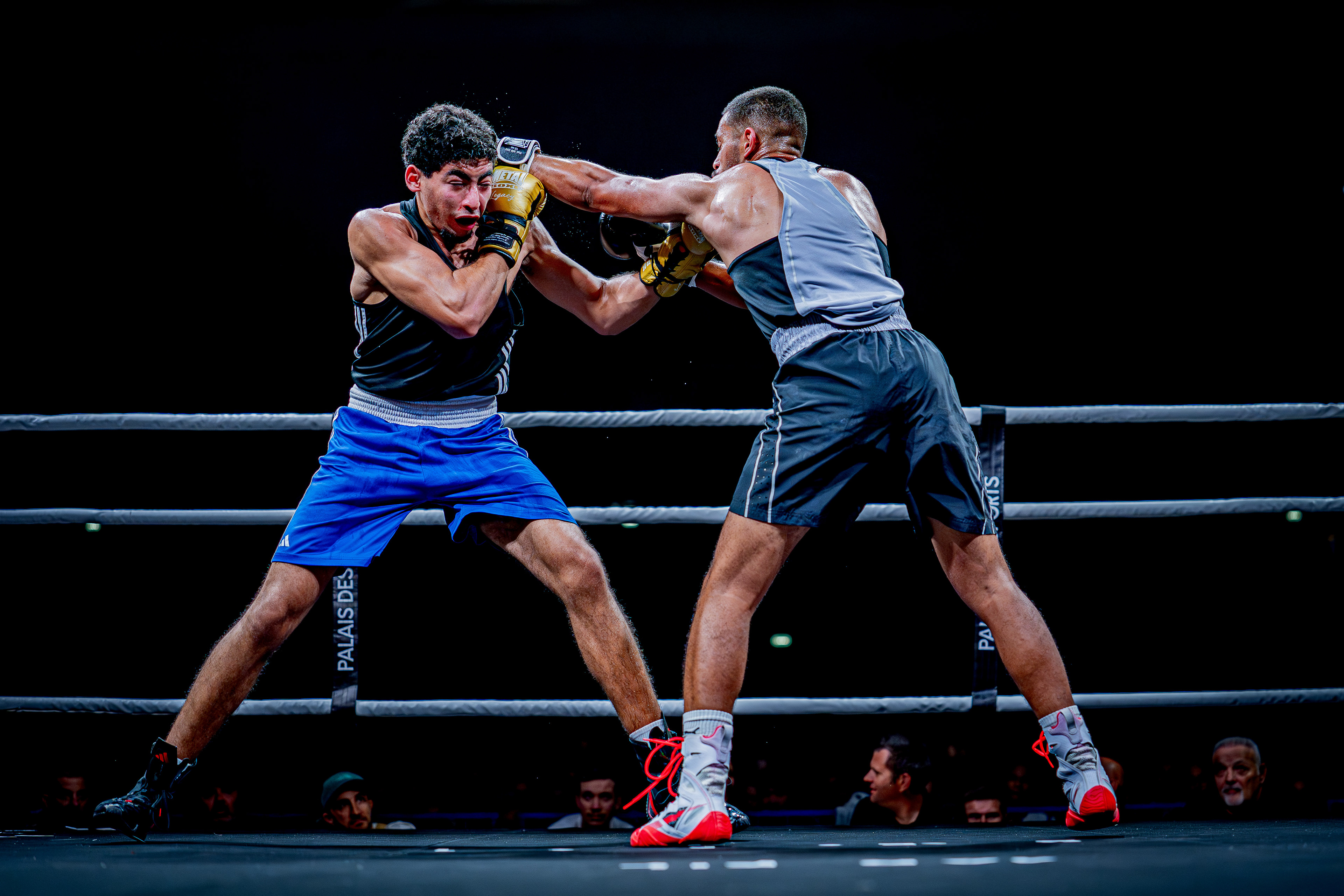 Fight Night - Boxe Marseille