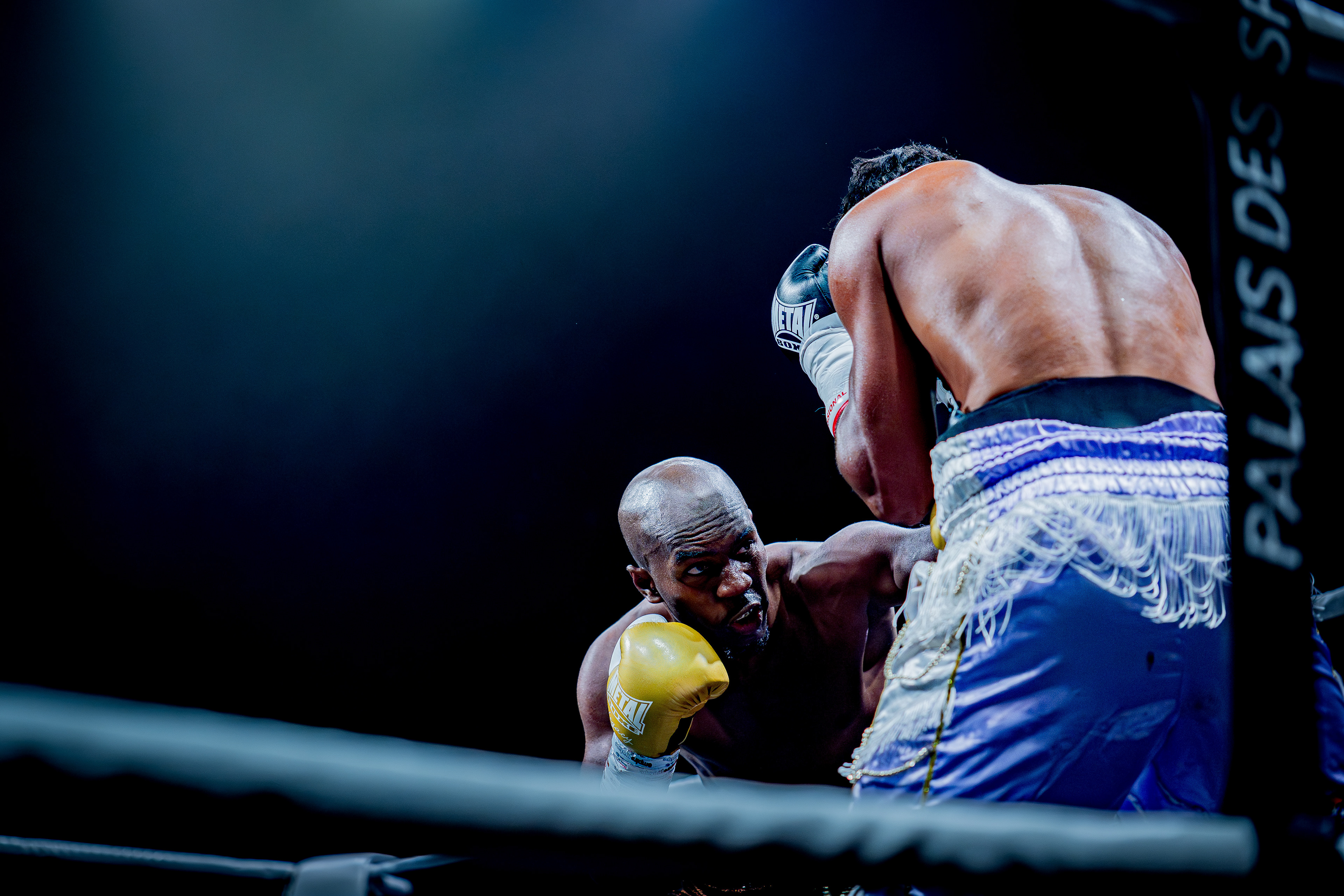 Fight Night - Boxe Marseille