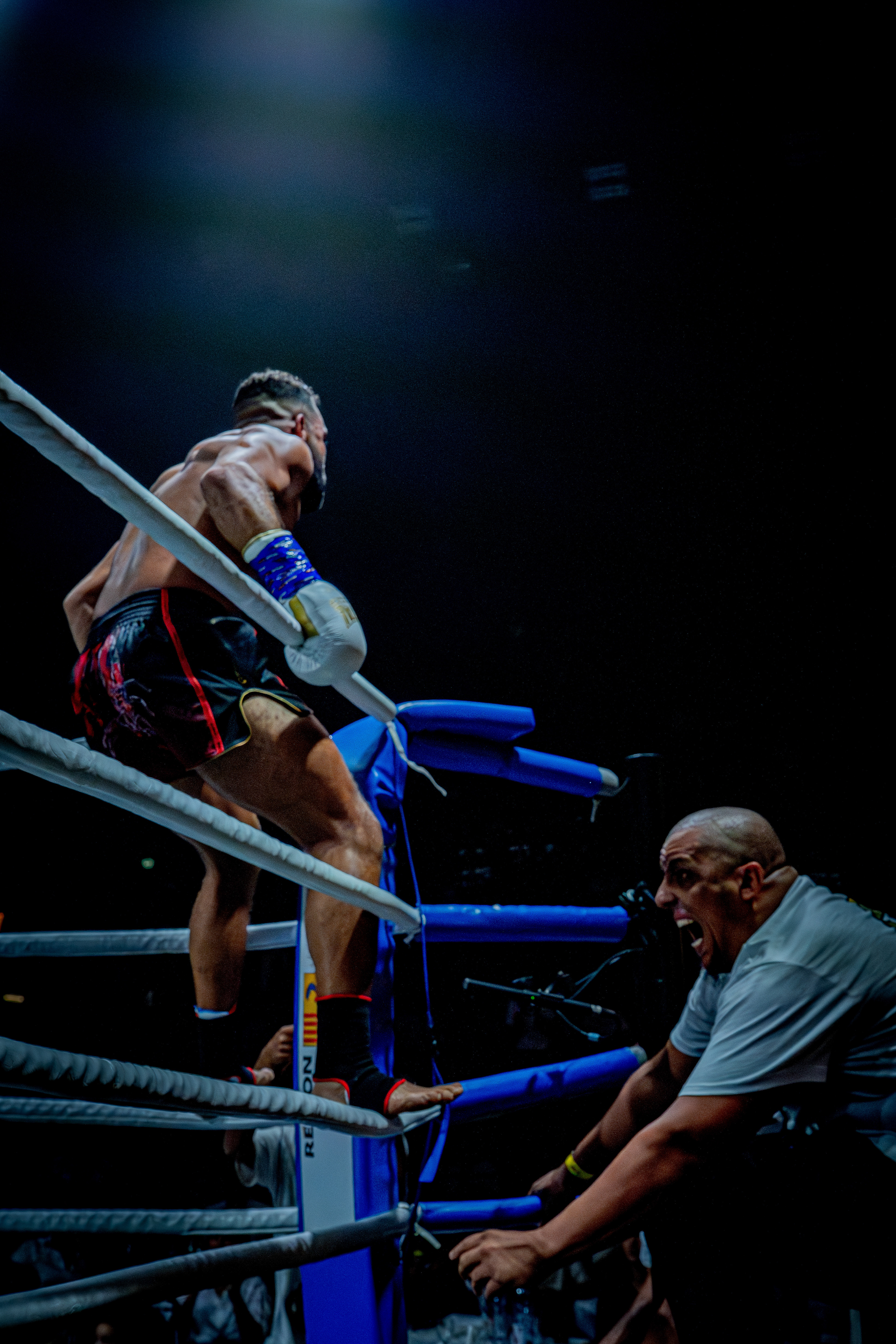 Fight Night - Boxe Marseille