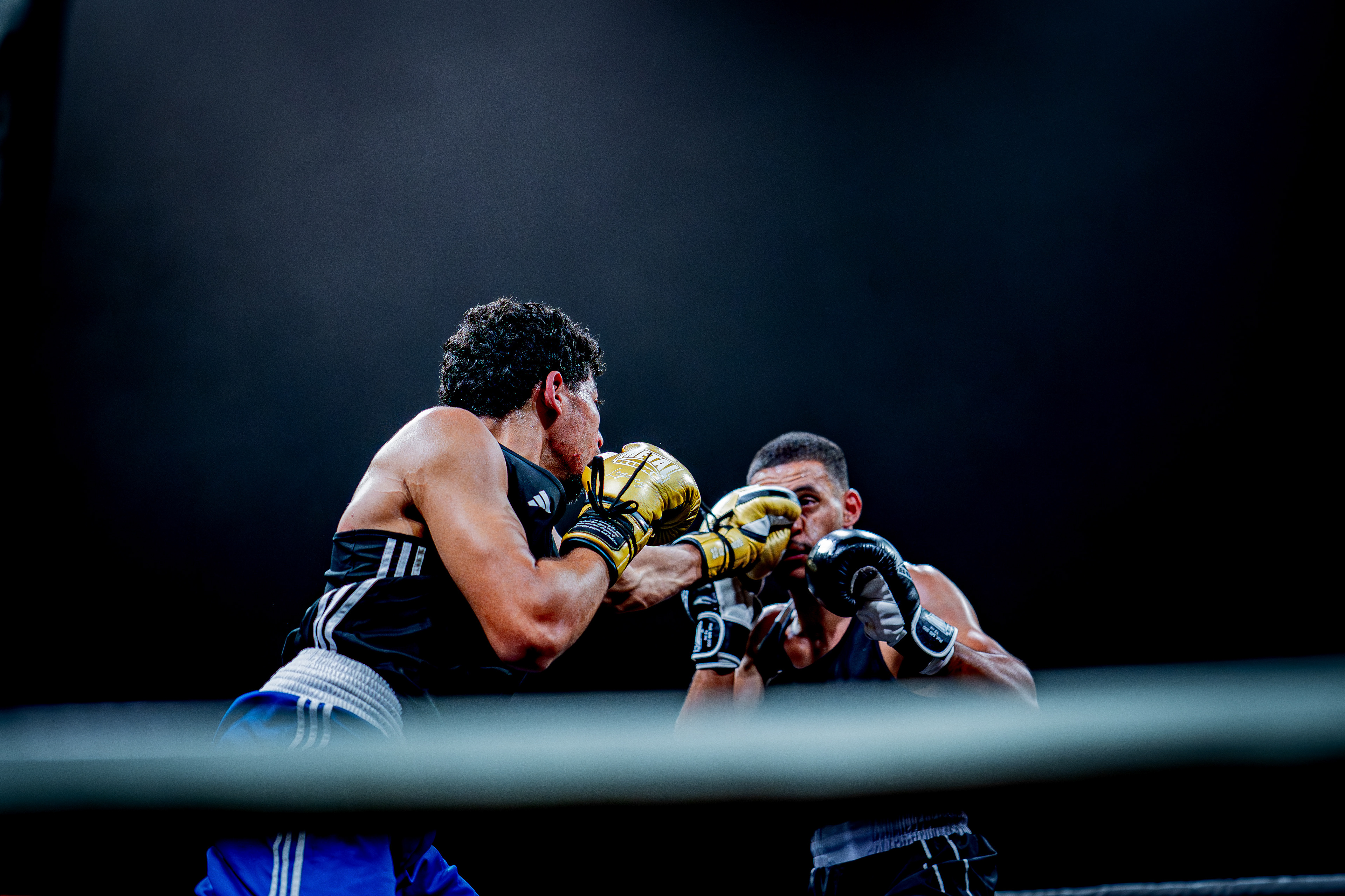 Fight Night - Boxe Marseille