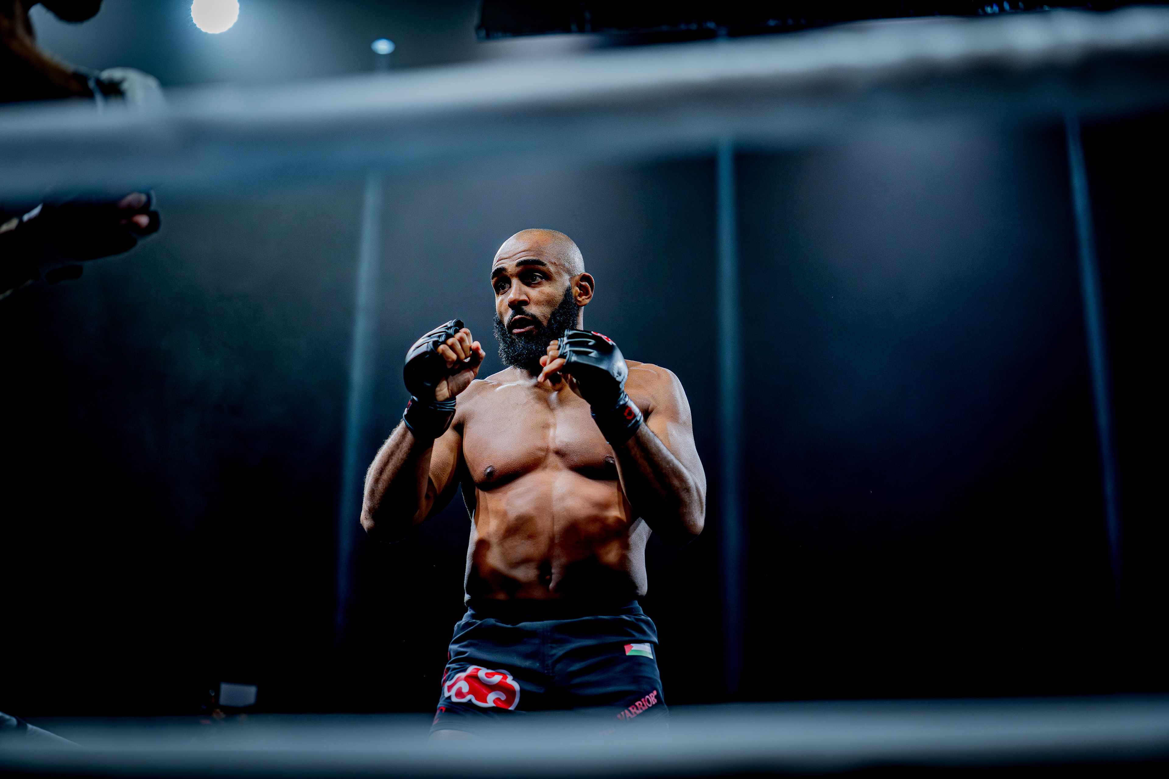 Fight Night - Boxe Marseille