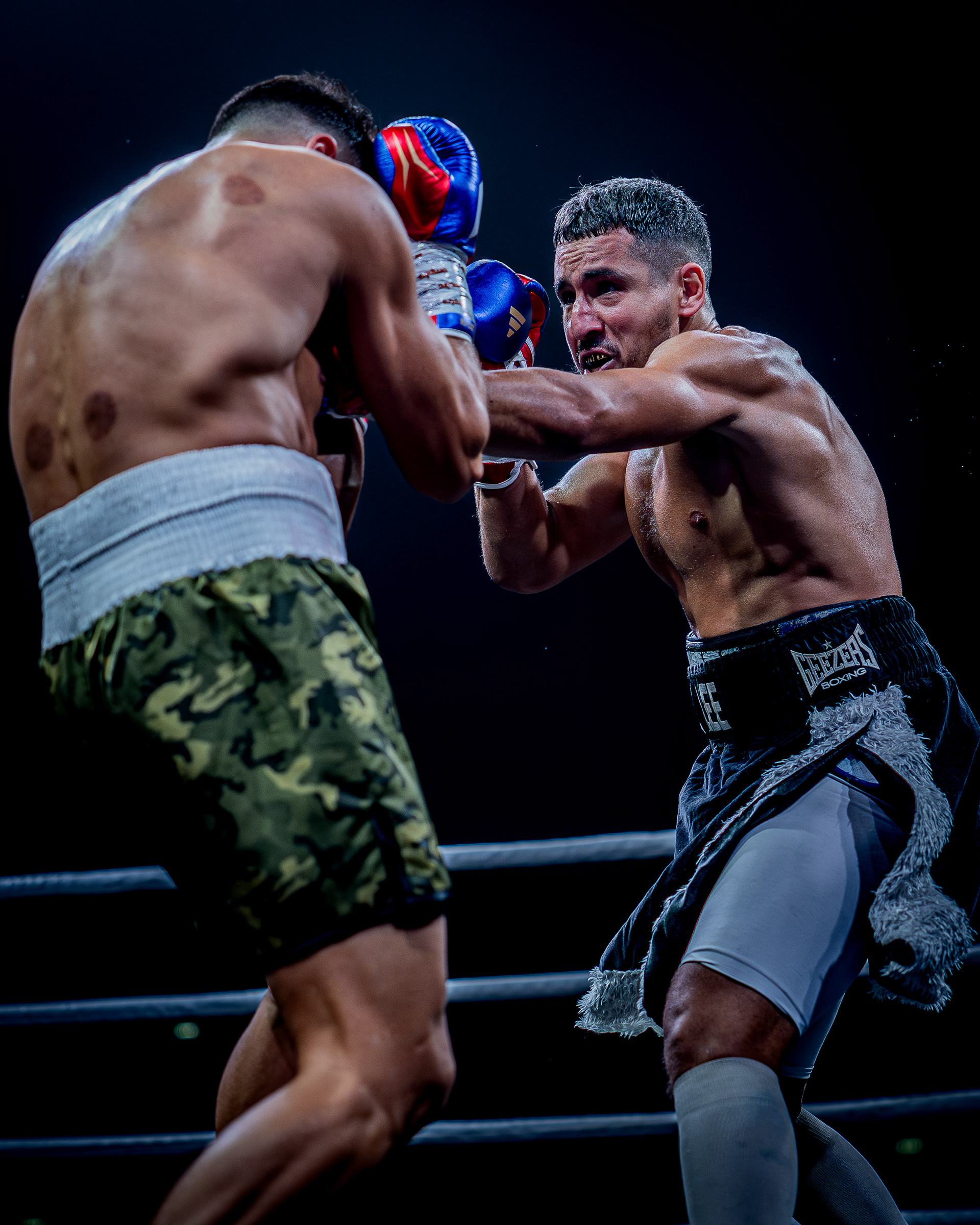 Fight Night - Boxe Marseille