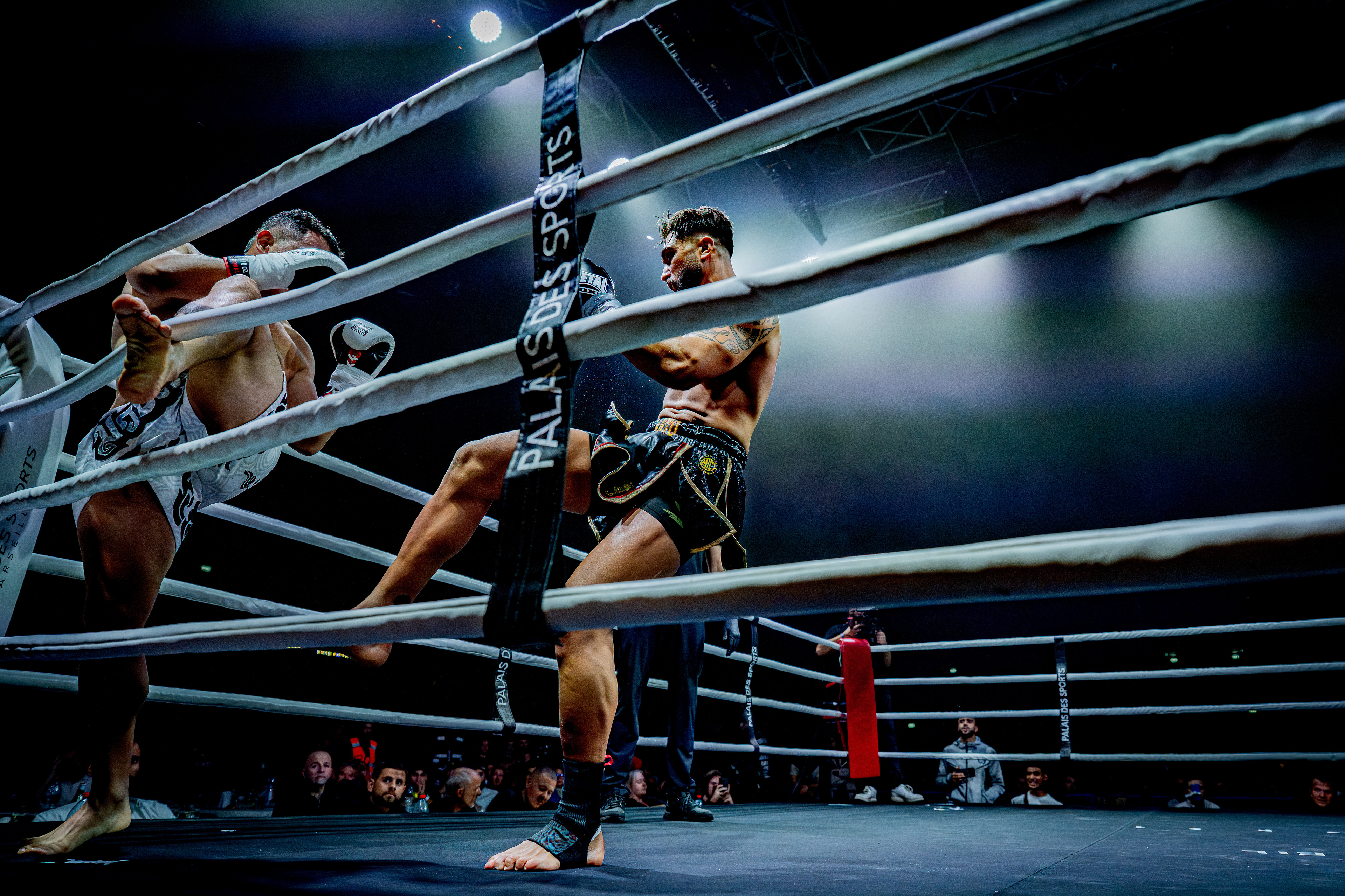 Fight Night - Boxe Marseille