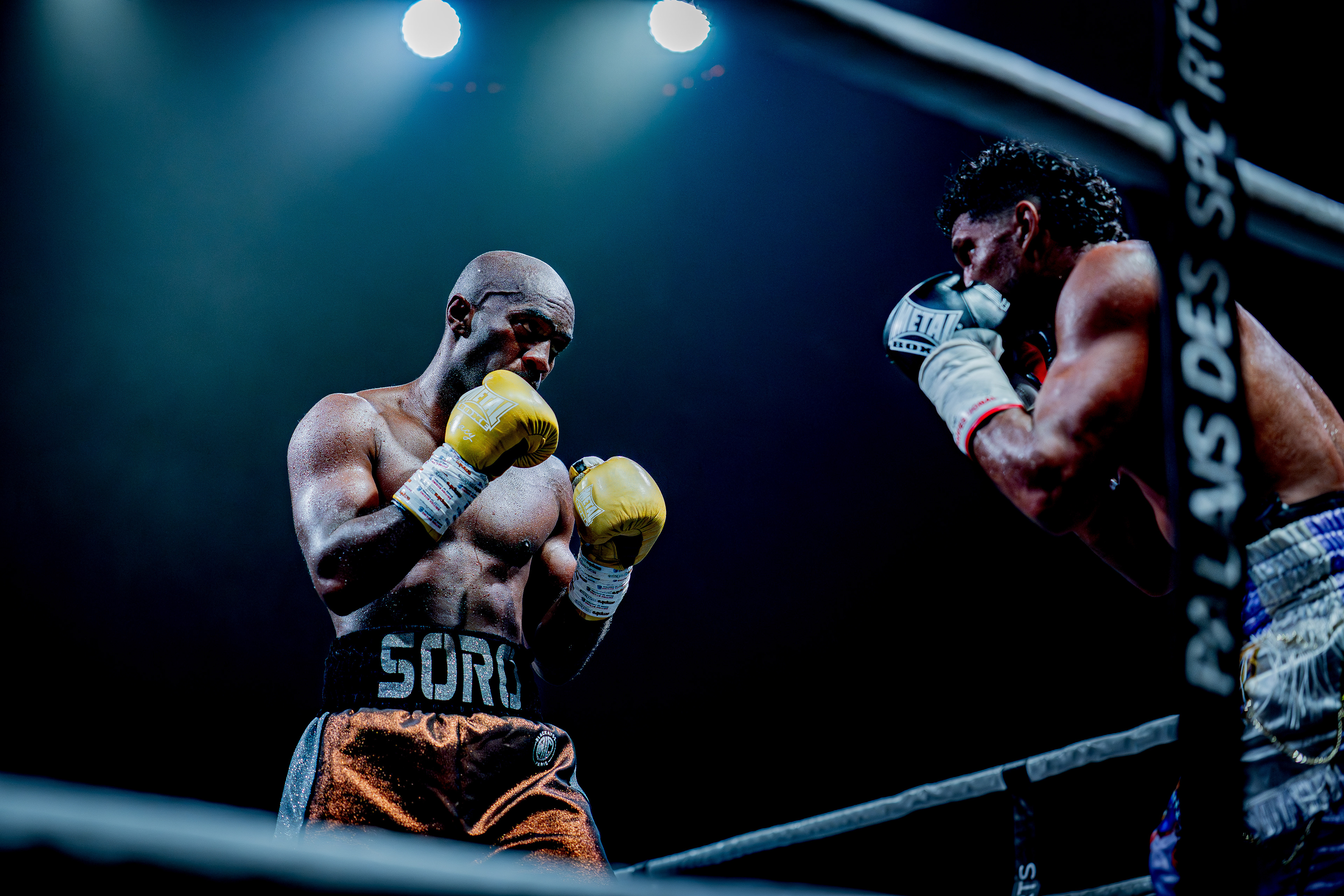 Fight Night - Boxe Marseille