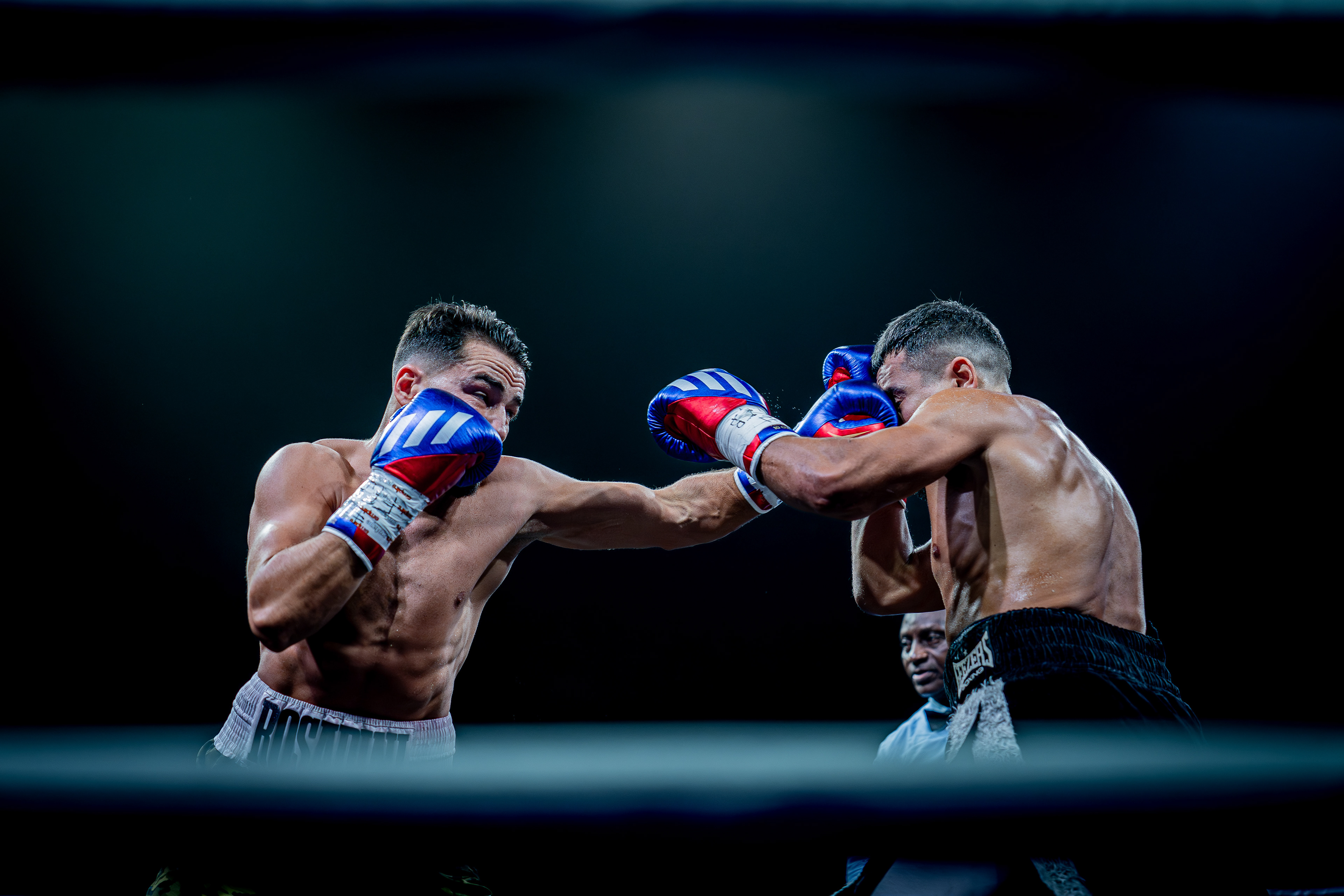 Fight Night - Boxe Marseille