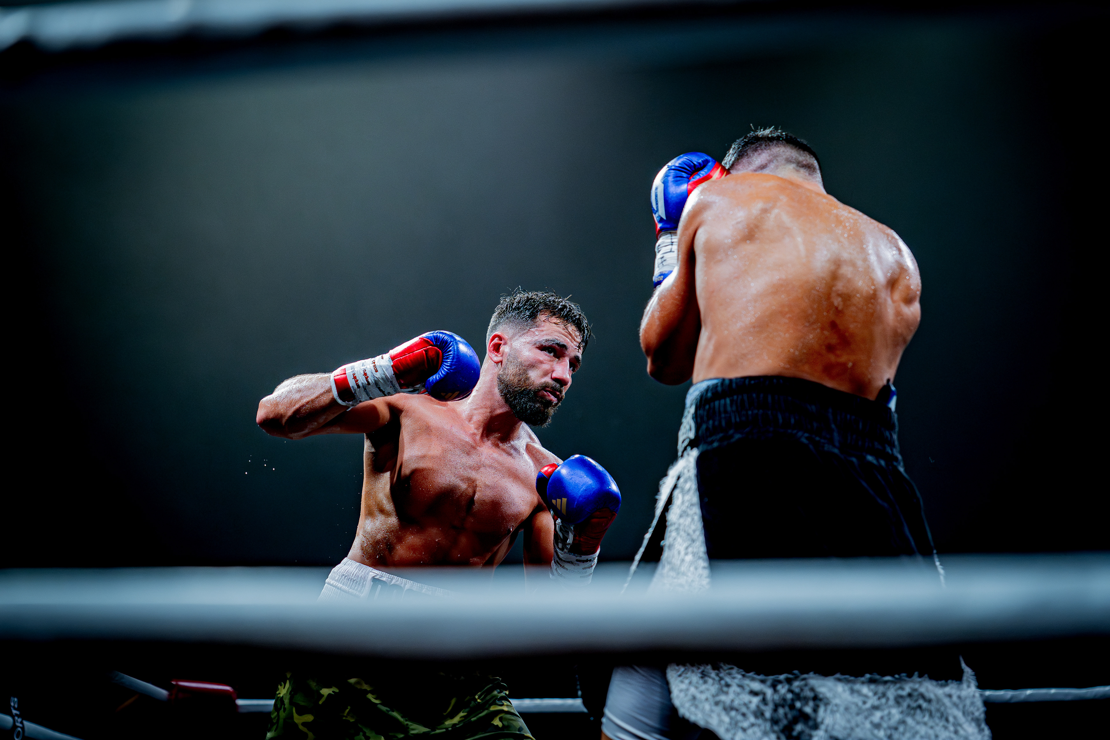 Fight Night - Boxe Marseille