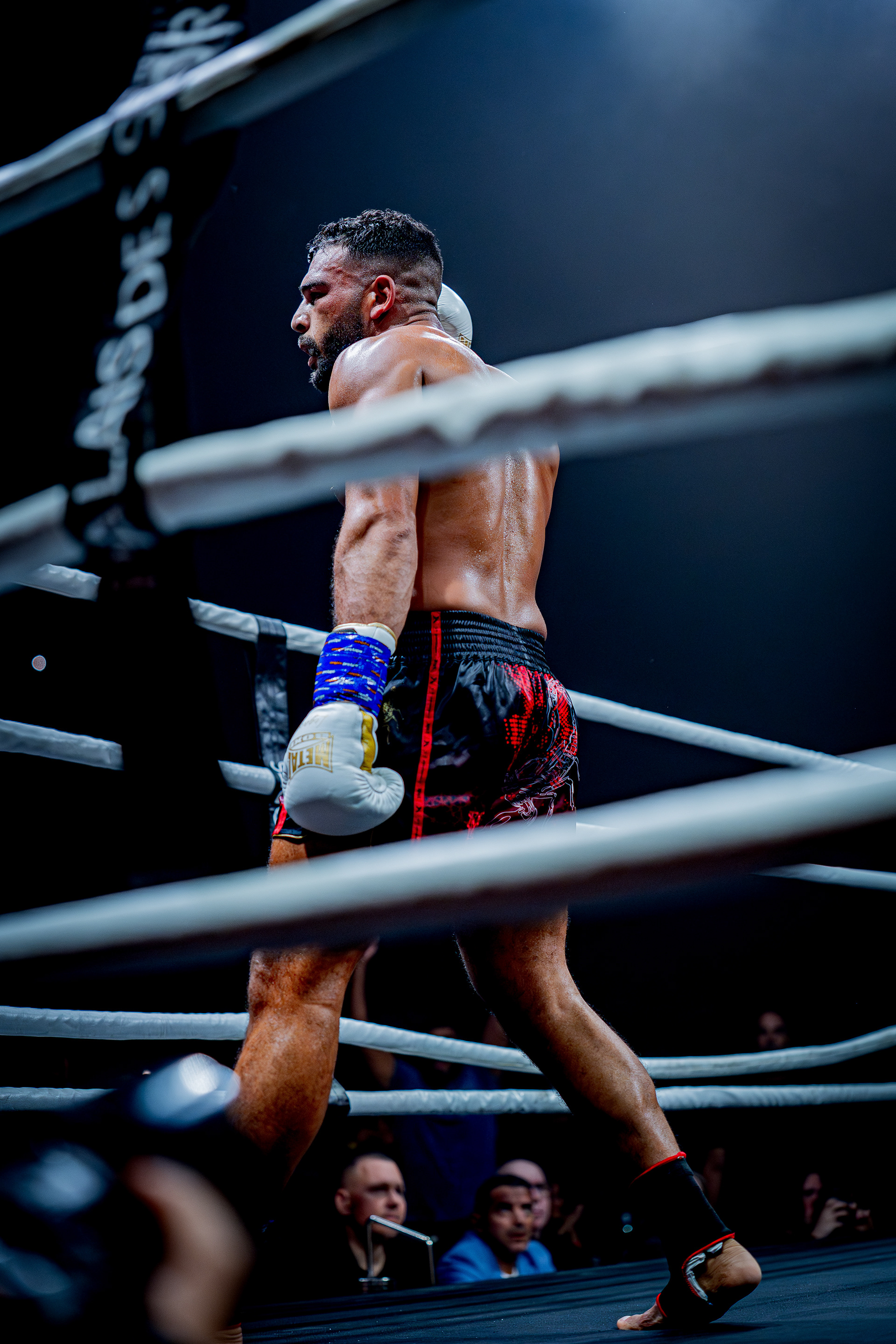 Fight Night - Boxe Marseille