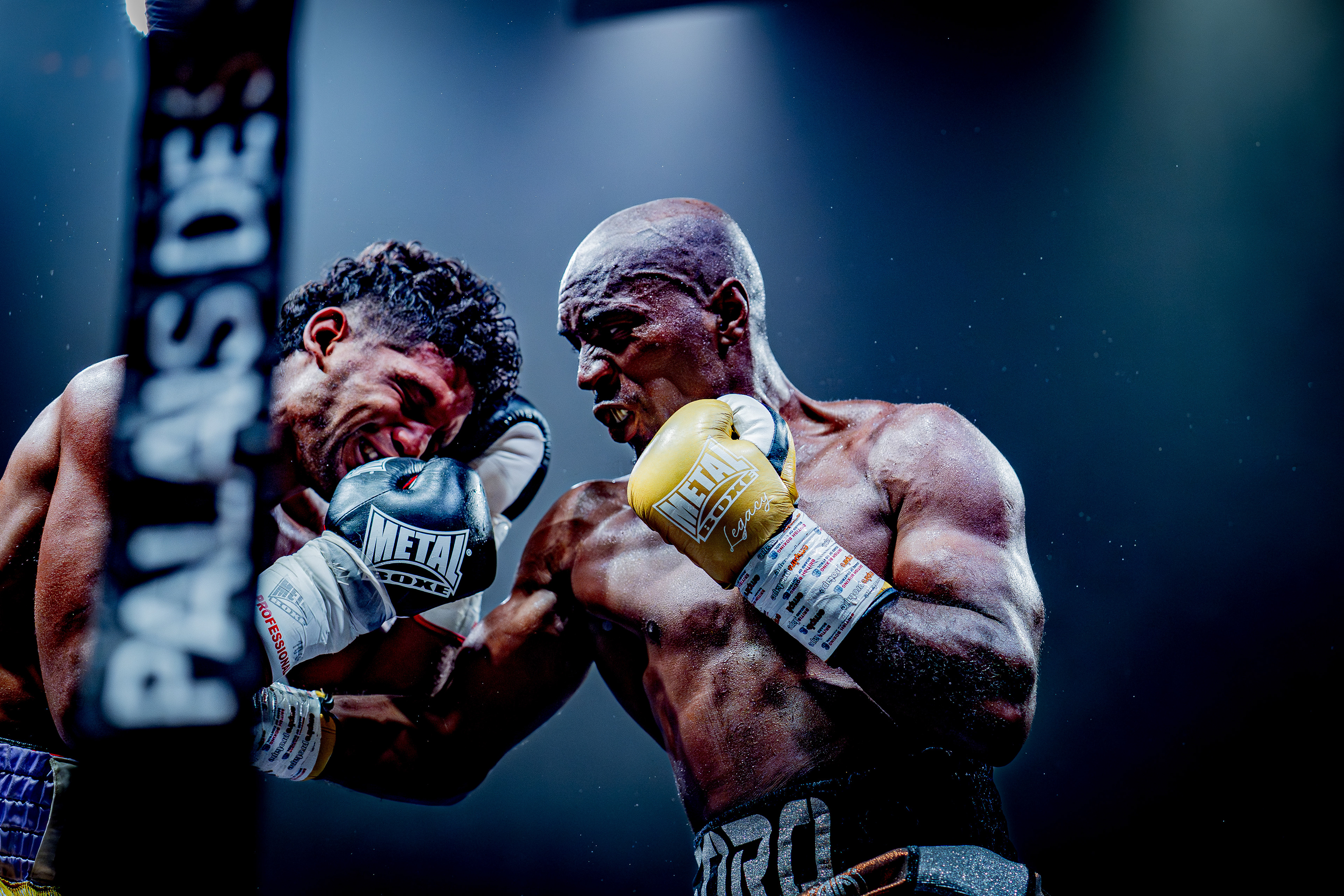 Fight Night - Boxe Marseille