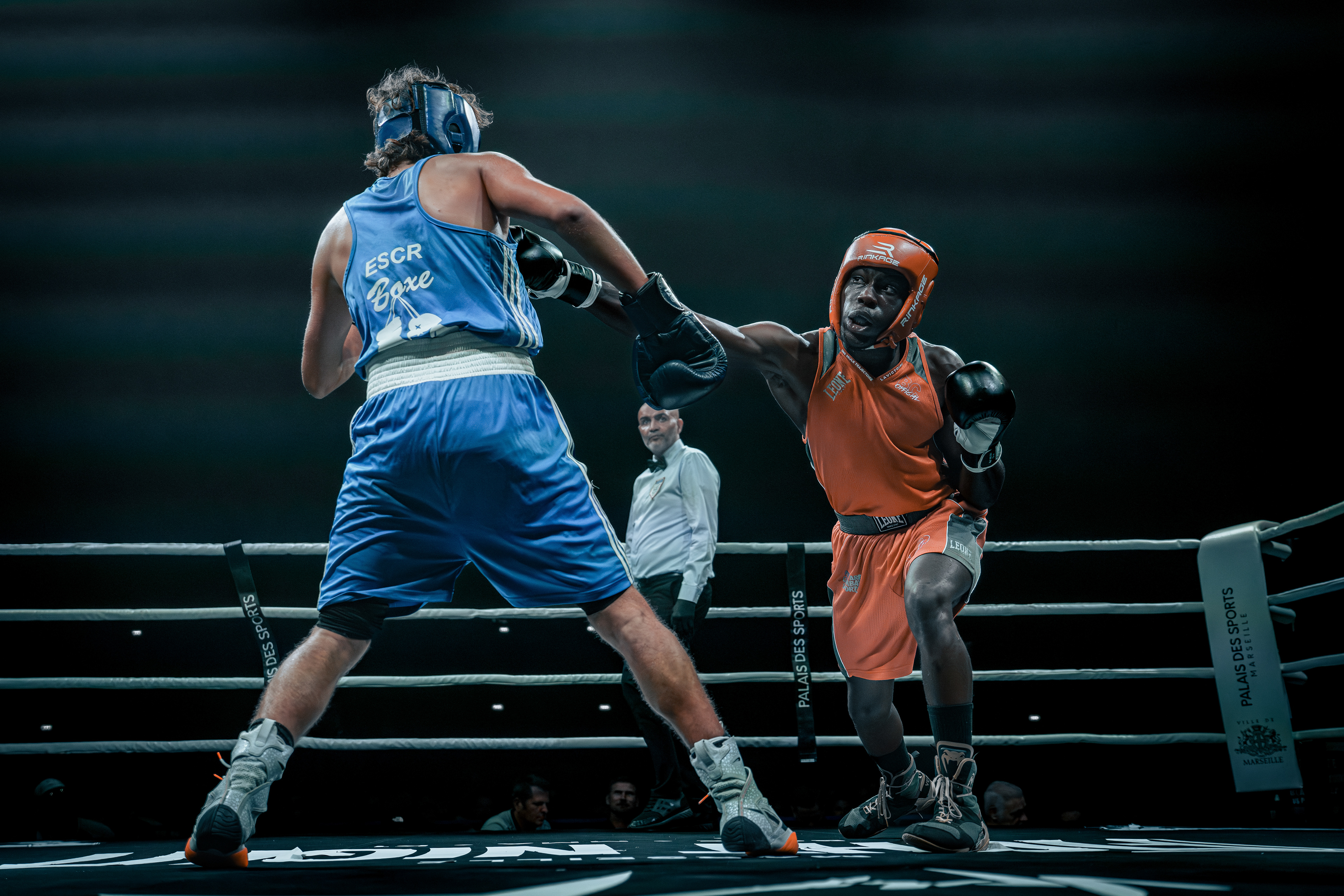 Fight Night - Boxe Marseille