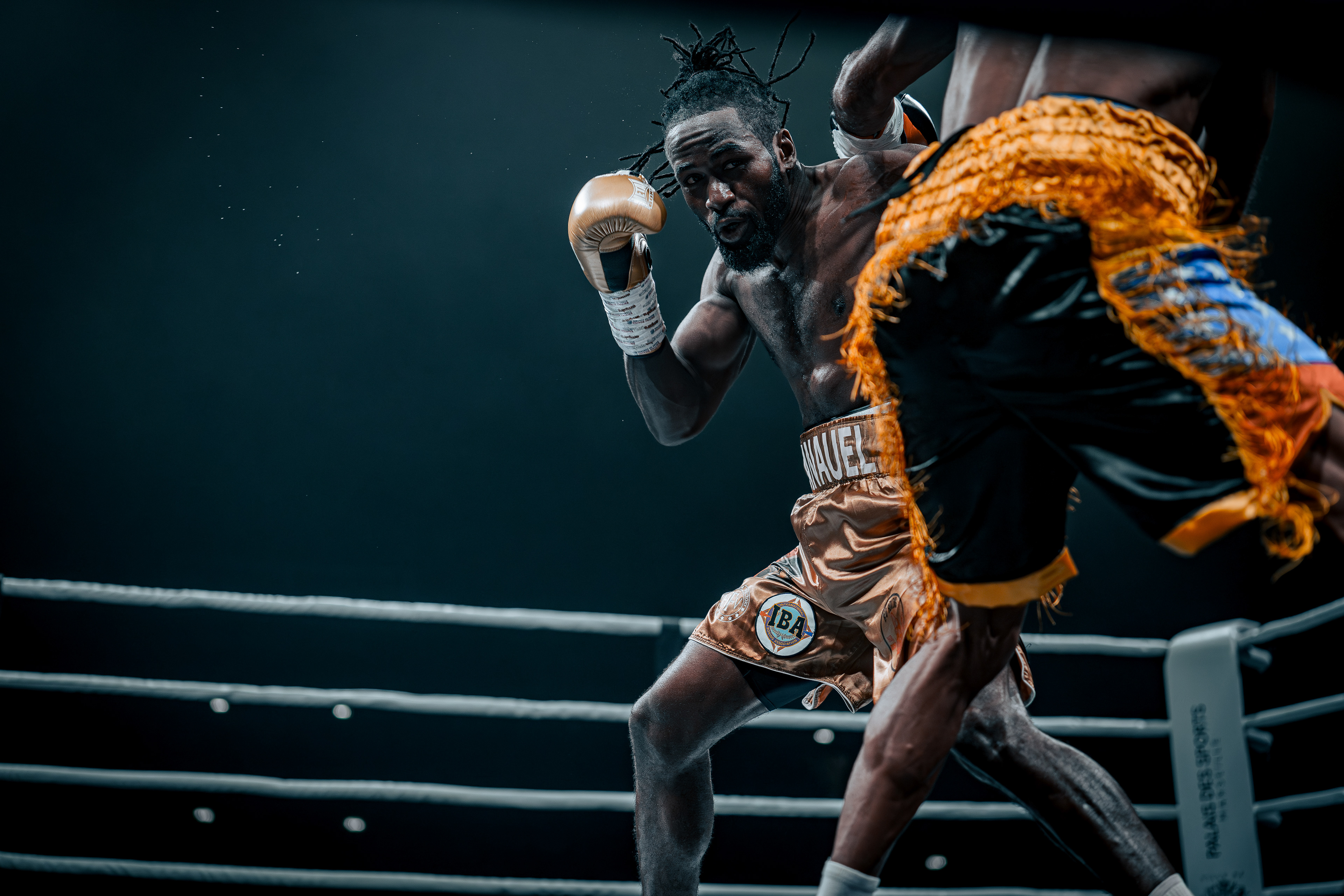 Fight Night - Boxe Marseille