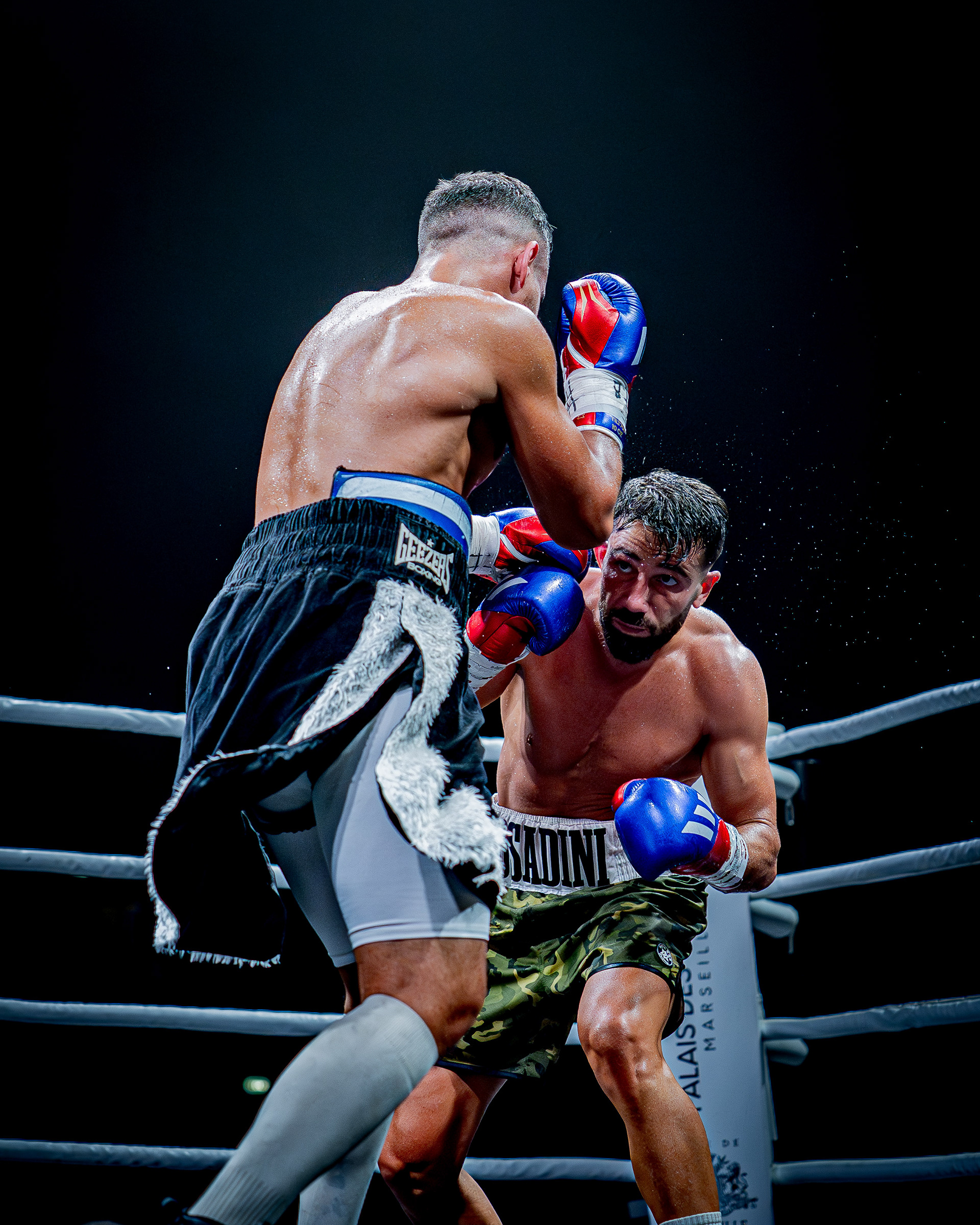 Fight Night - Boxe Marseille