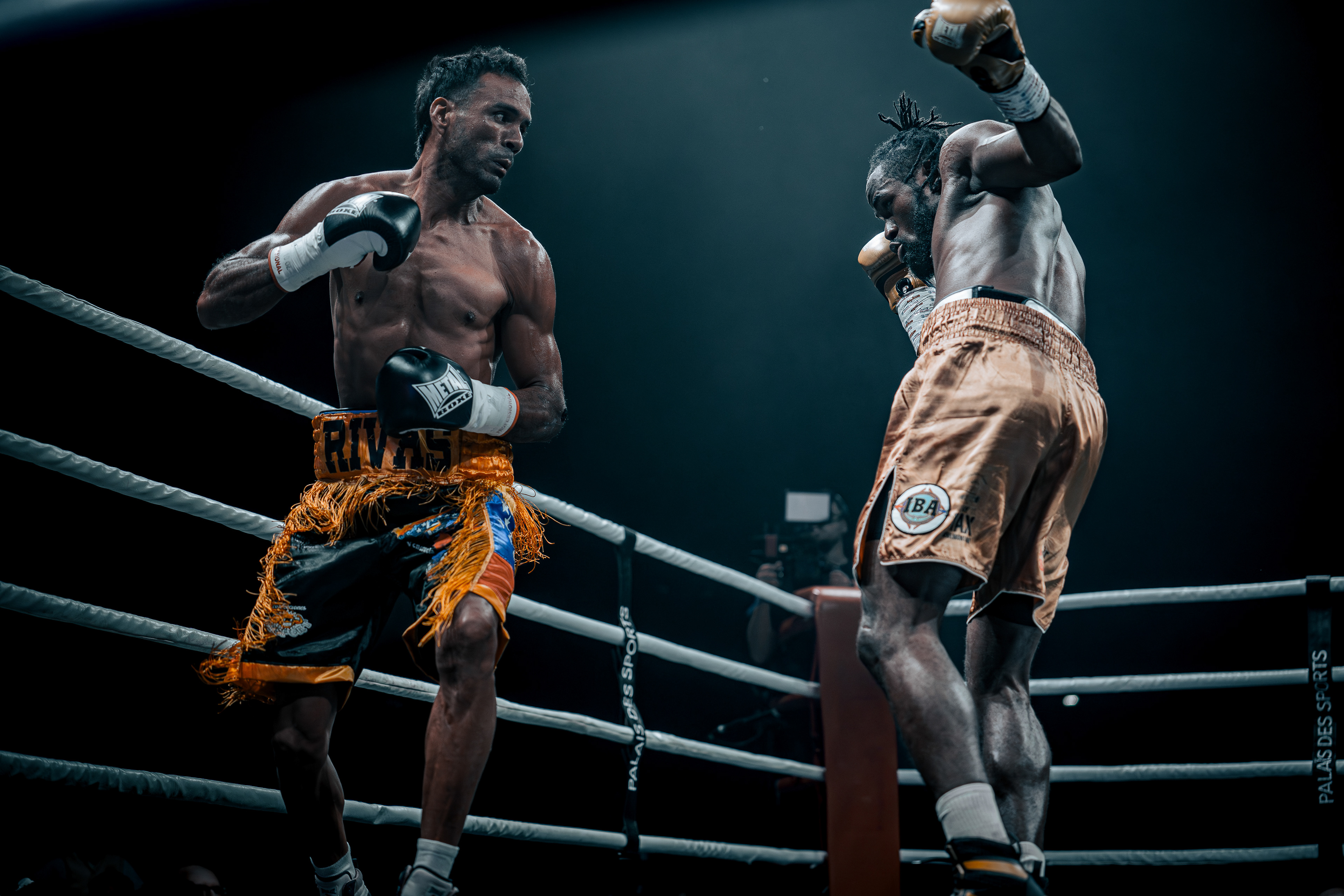 Fight Night - Boxe Marseille