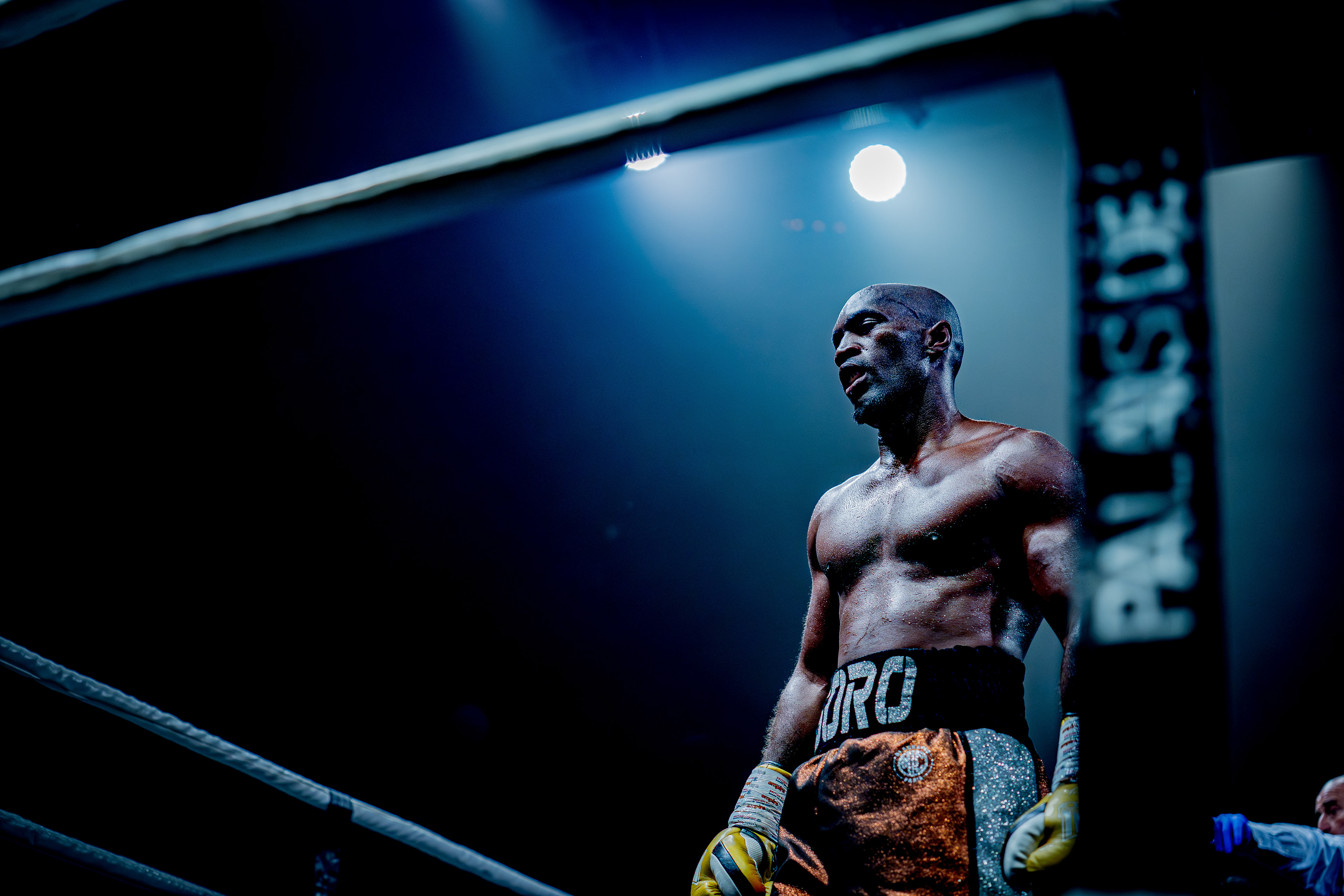 Fight Night - Boxe Marseille